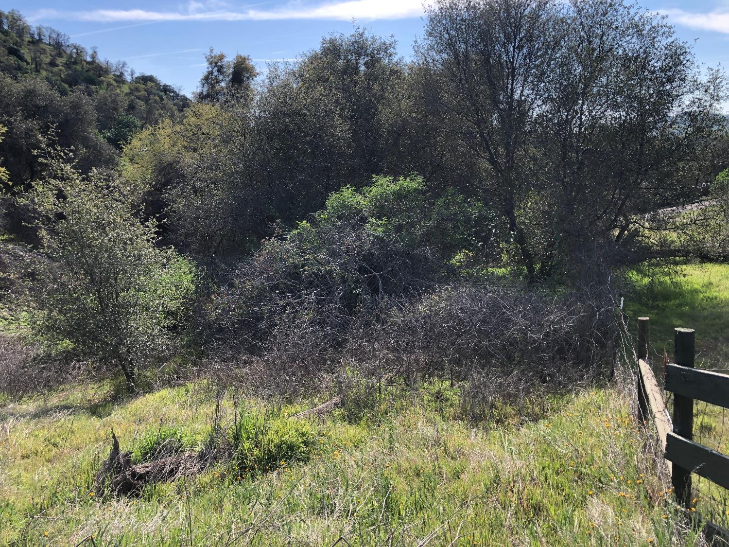 0 0 Partridge Lot# 44 Ln, Yokuts Valley, CA 93675