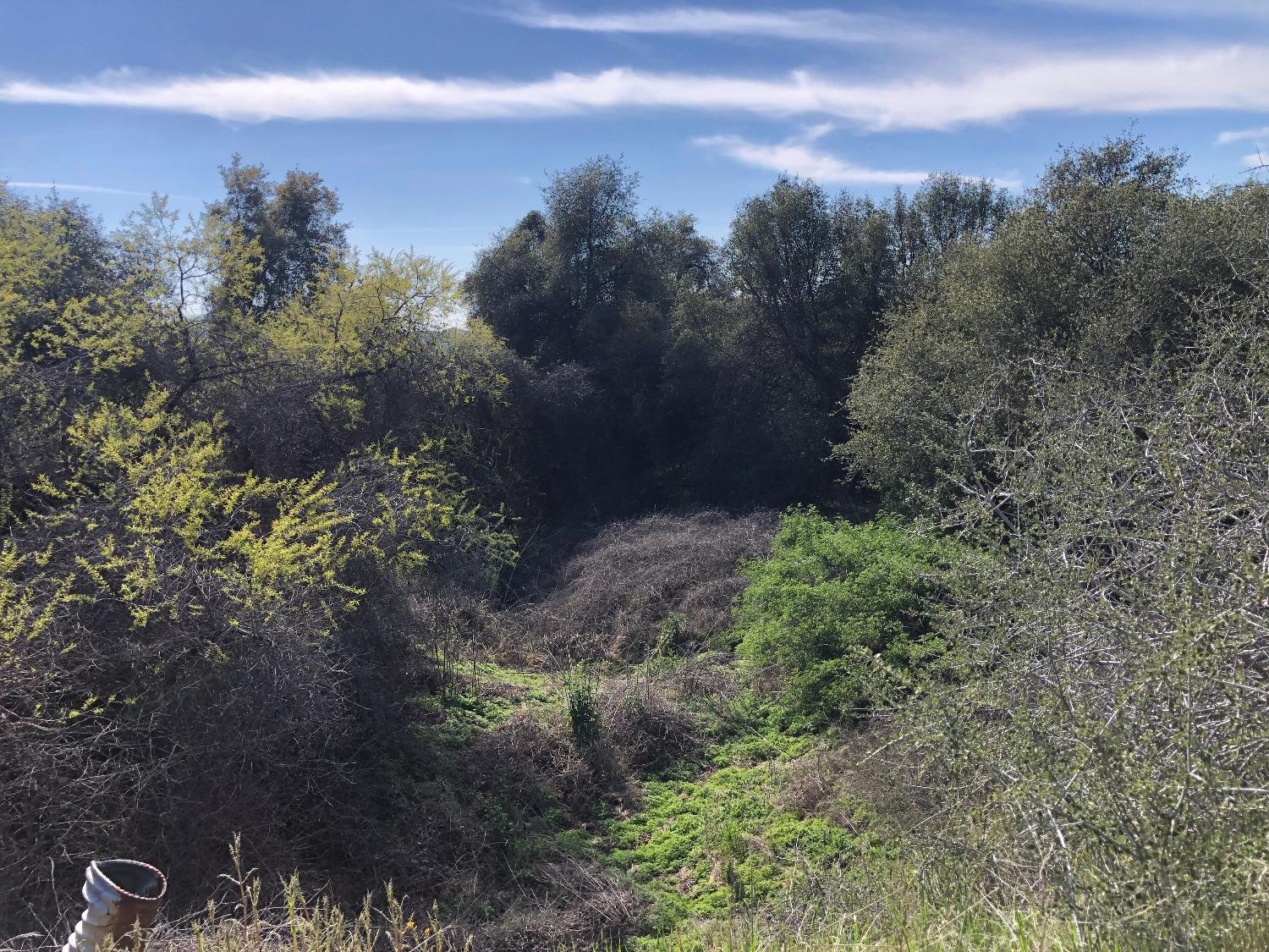 0 0 Partridge Lot# 44 Ln, Yokuts Valley, CA 93675