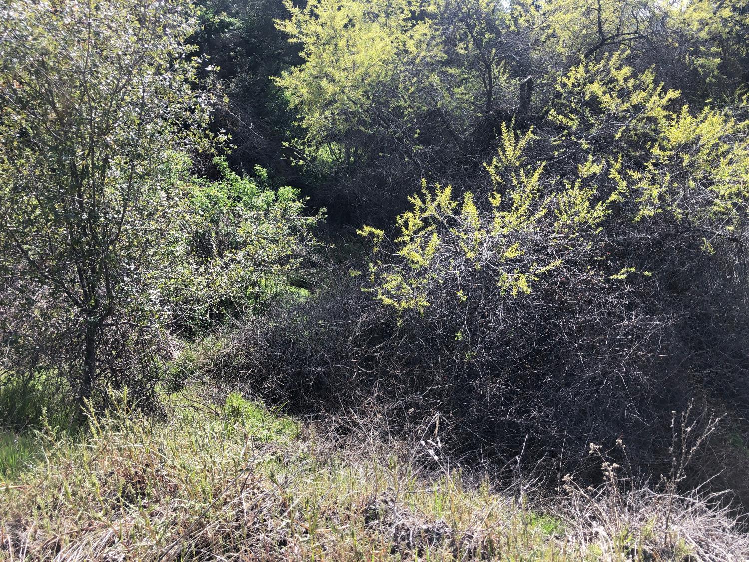 0 0 Partridge Lot# 44 Ln, Yokuts Valley, CA 93675