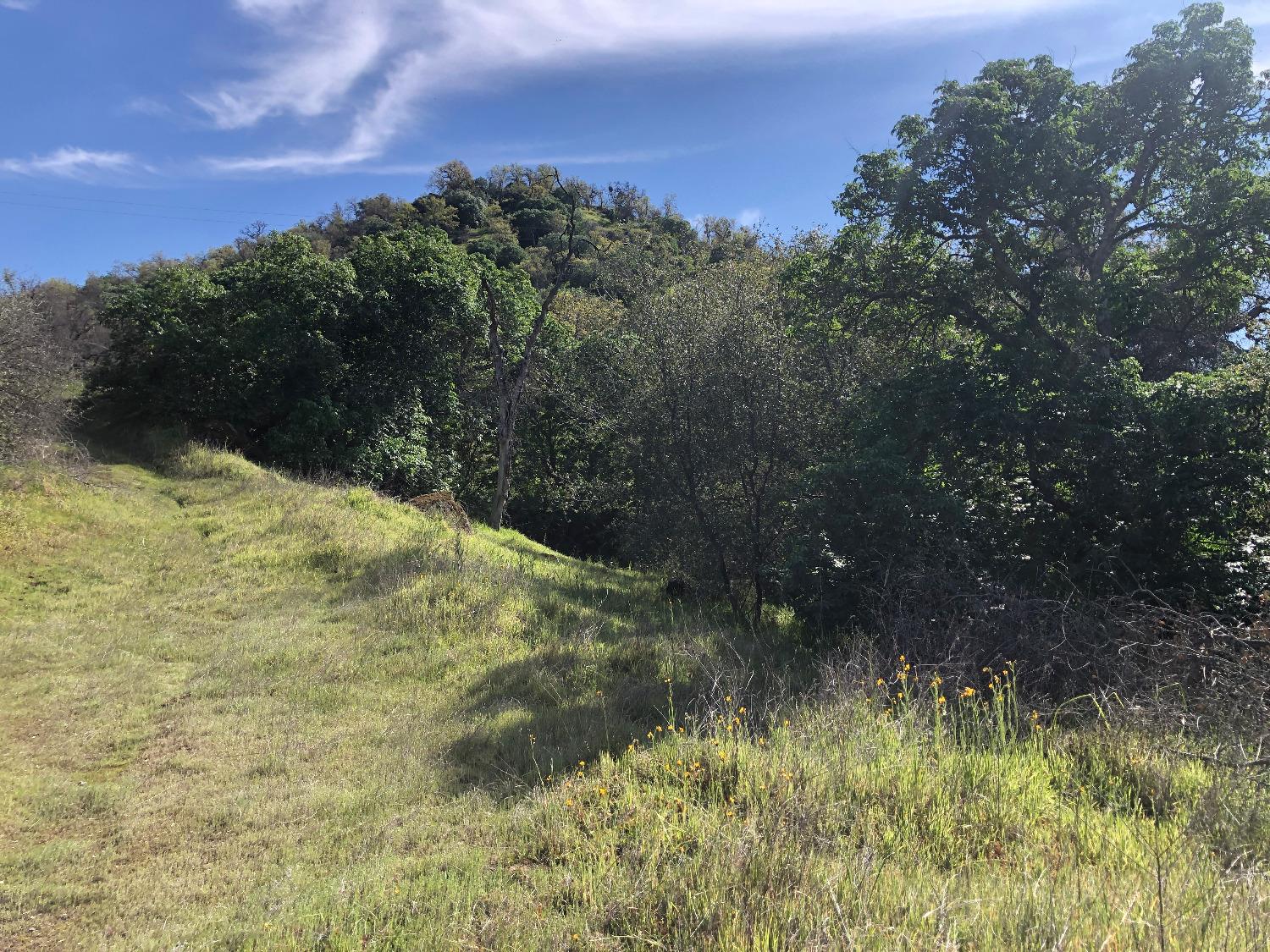 0 0 Partridge Lot# 44 Ln, Yokuts Valley, CA 93675