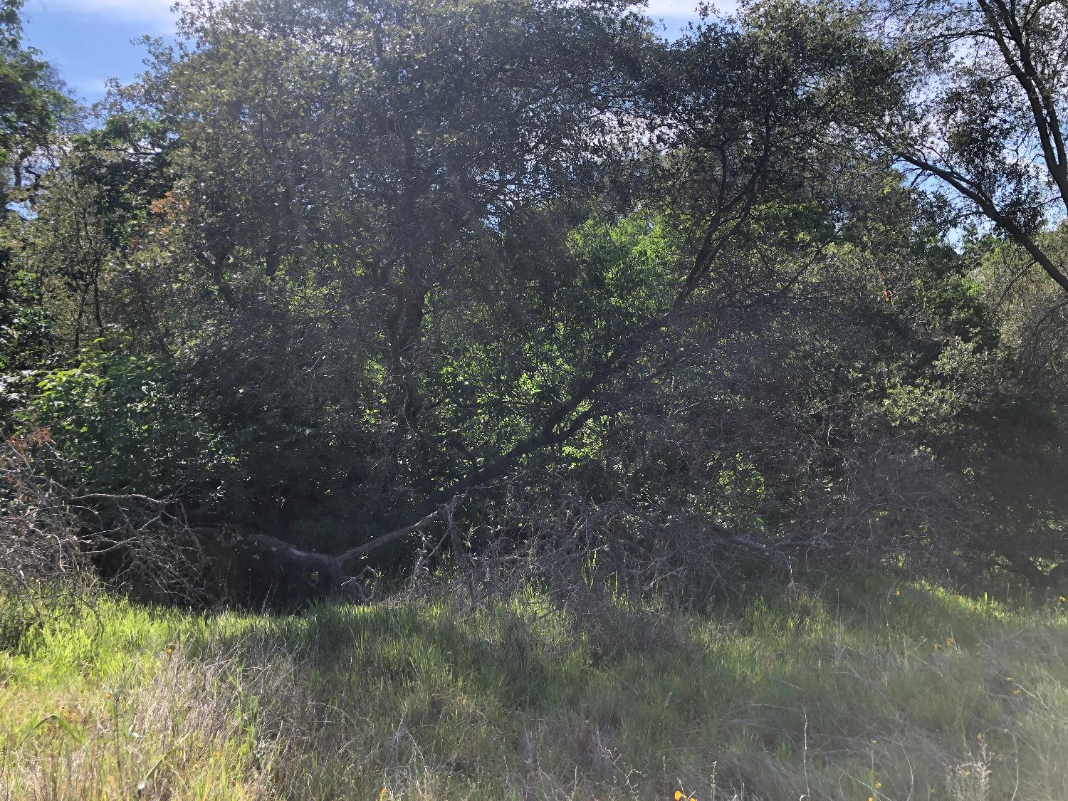 0 0 Partridge Lot# 44 Ln, Yokuts Valley, CA 93675