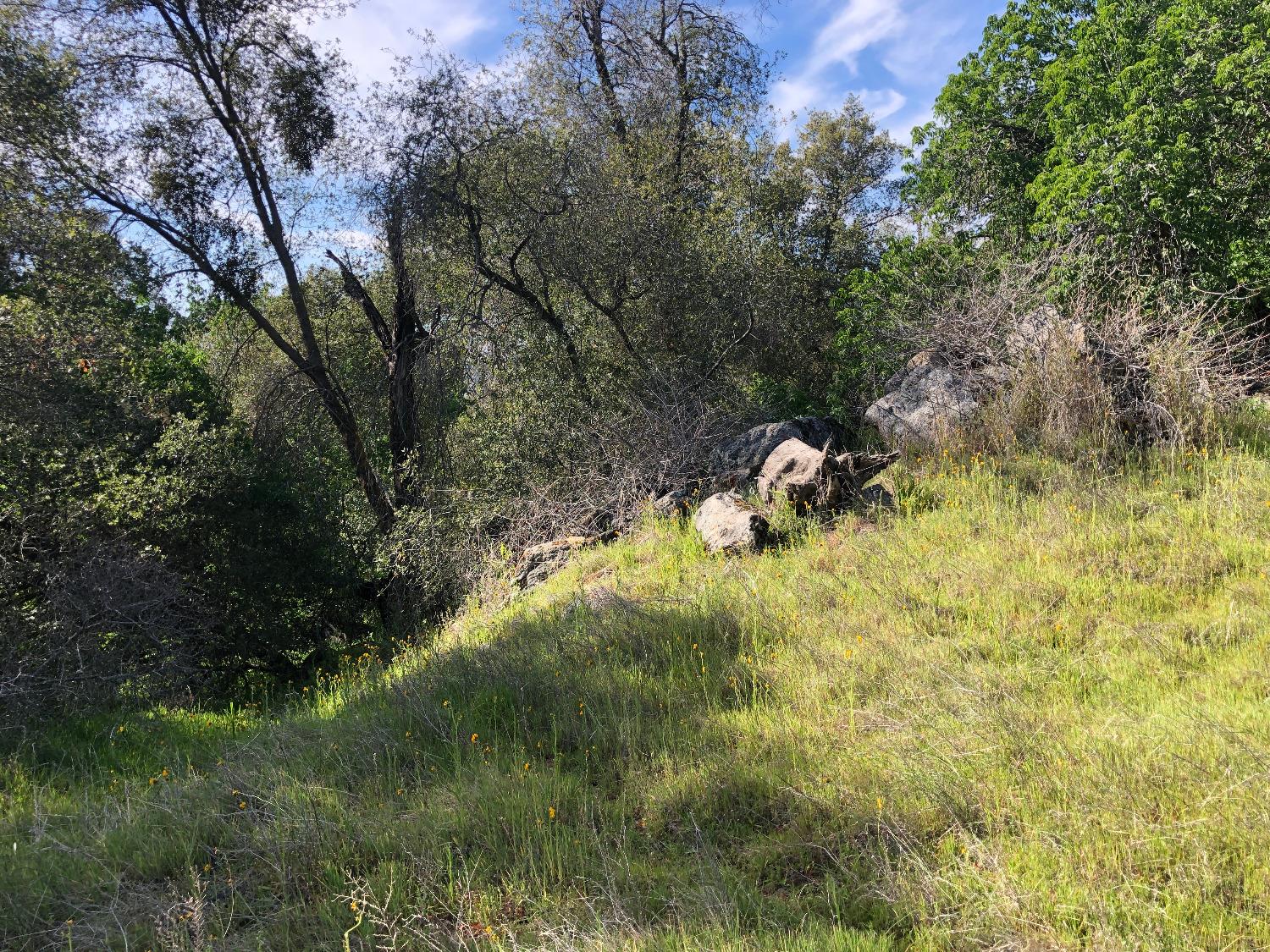 0 0 Partridge Lot# 44 Ln, Yokuts Valley, CA 93675