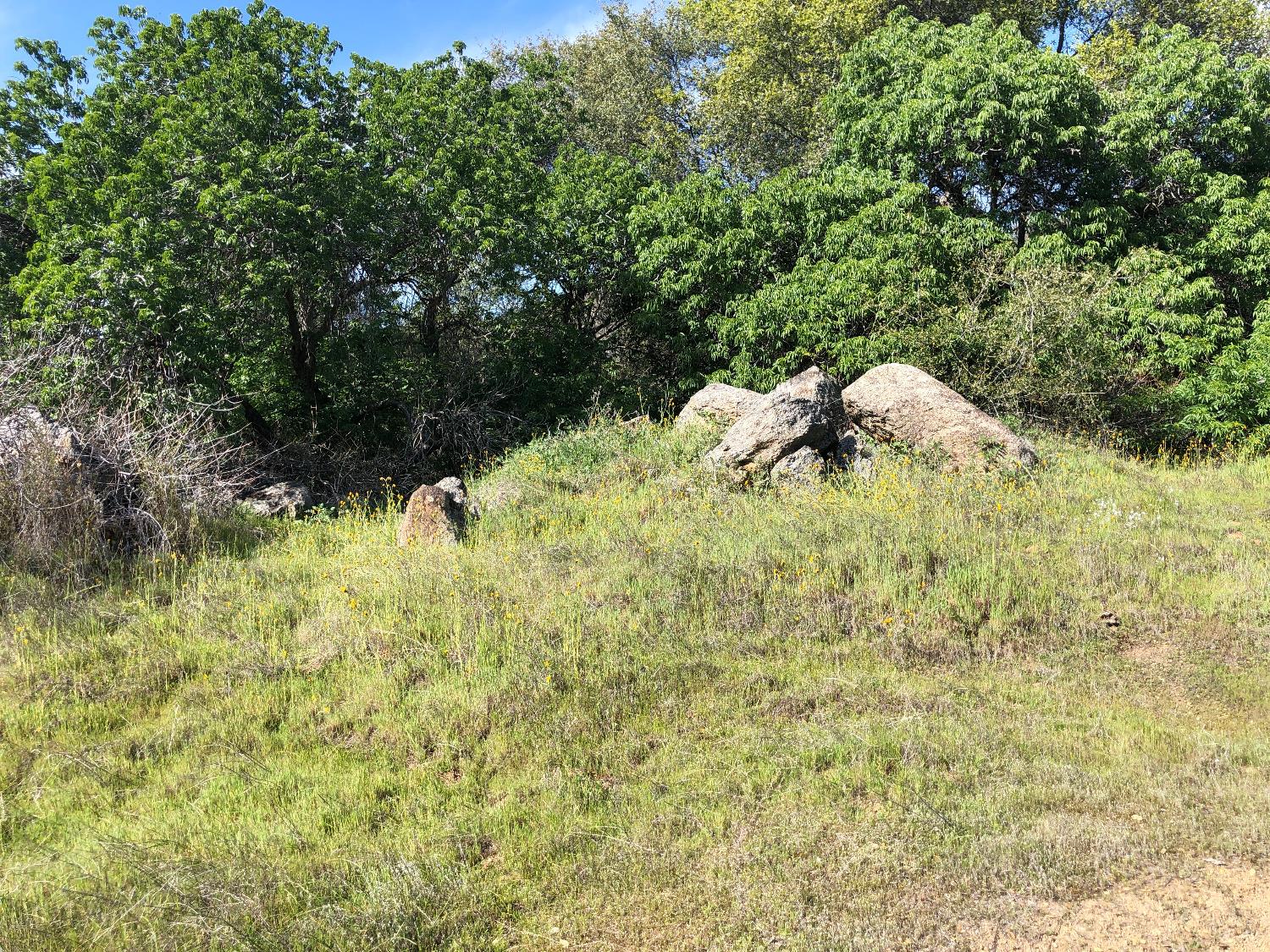 0 0 Partridge Lot# 44 Ln, Yokuts Valley, CA 93675