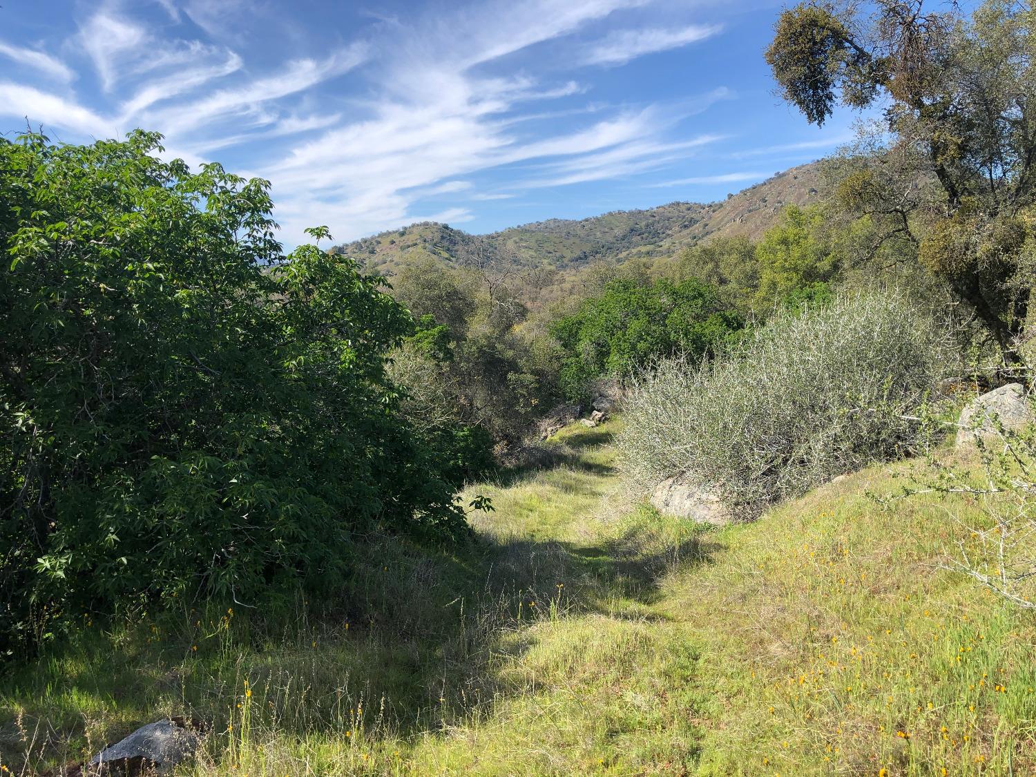 0 0 Partridge Lot# 44 Ln, Yokuts Valley, CA 93675
