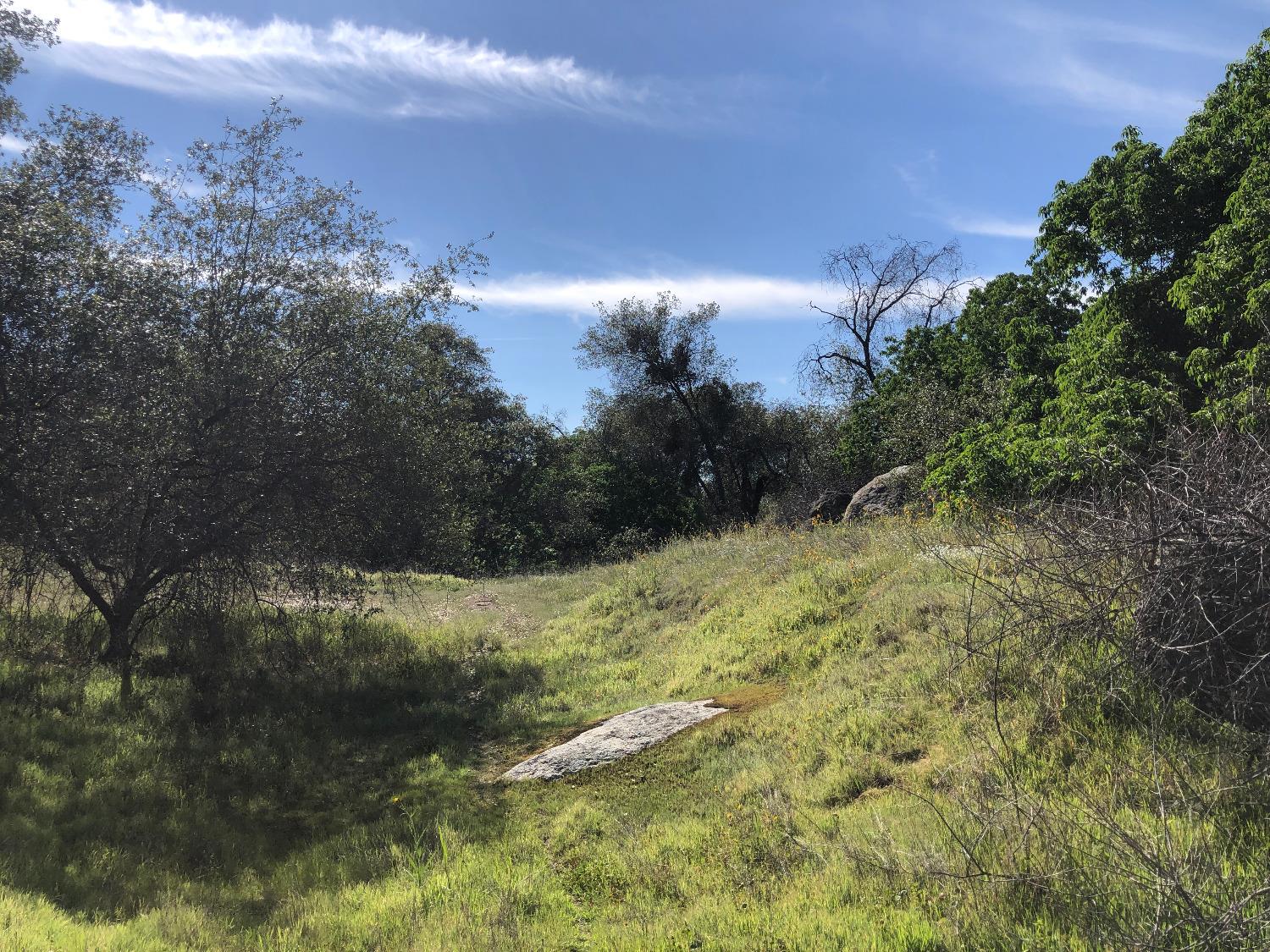 0 0 Partridge Lot# 44 Ln, Yokuts Valley, CA 93675