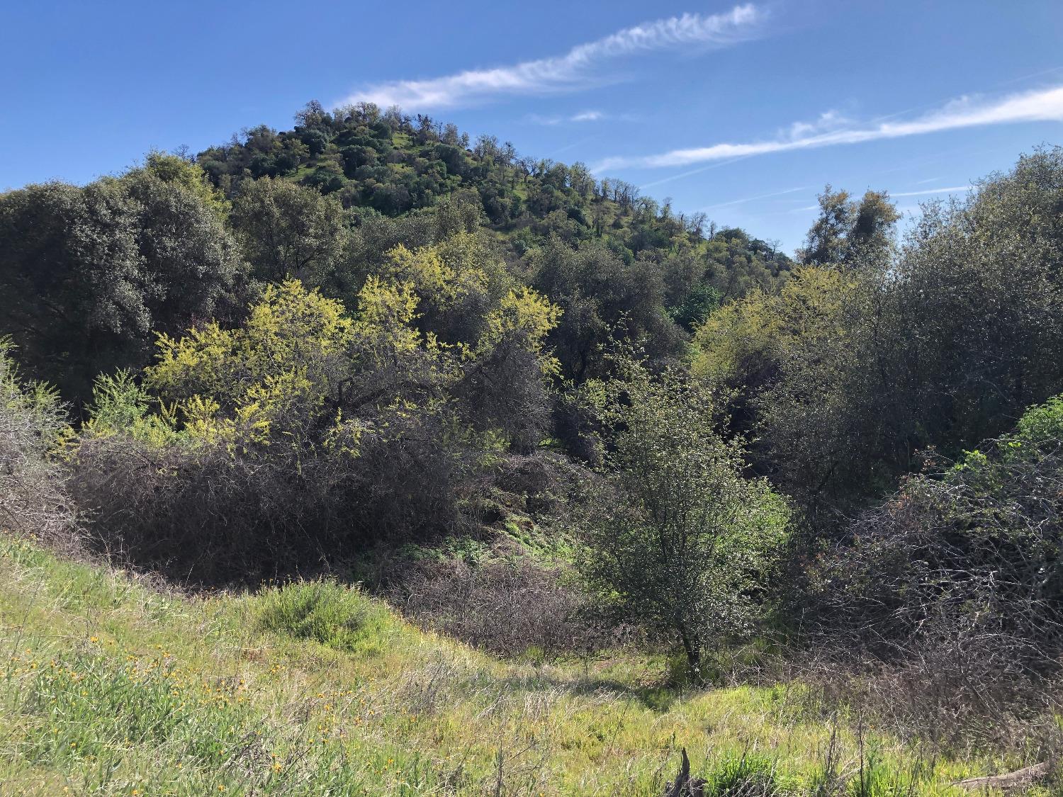 0 0 Partridge Lot# 44 Ln, Yokuts Valley, CA 93675
