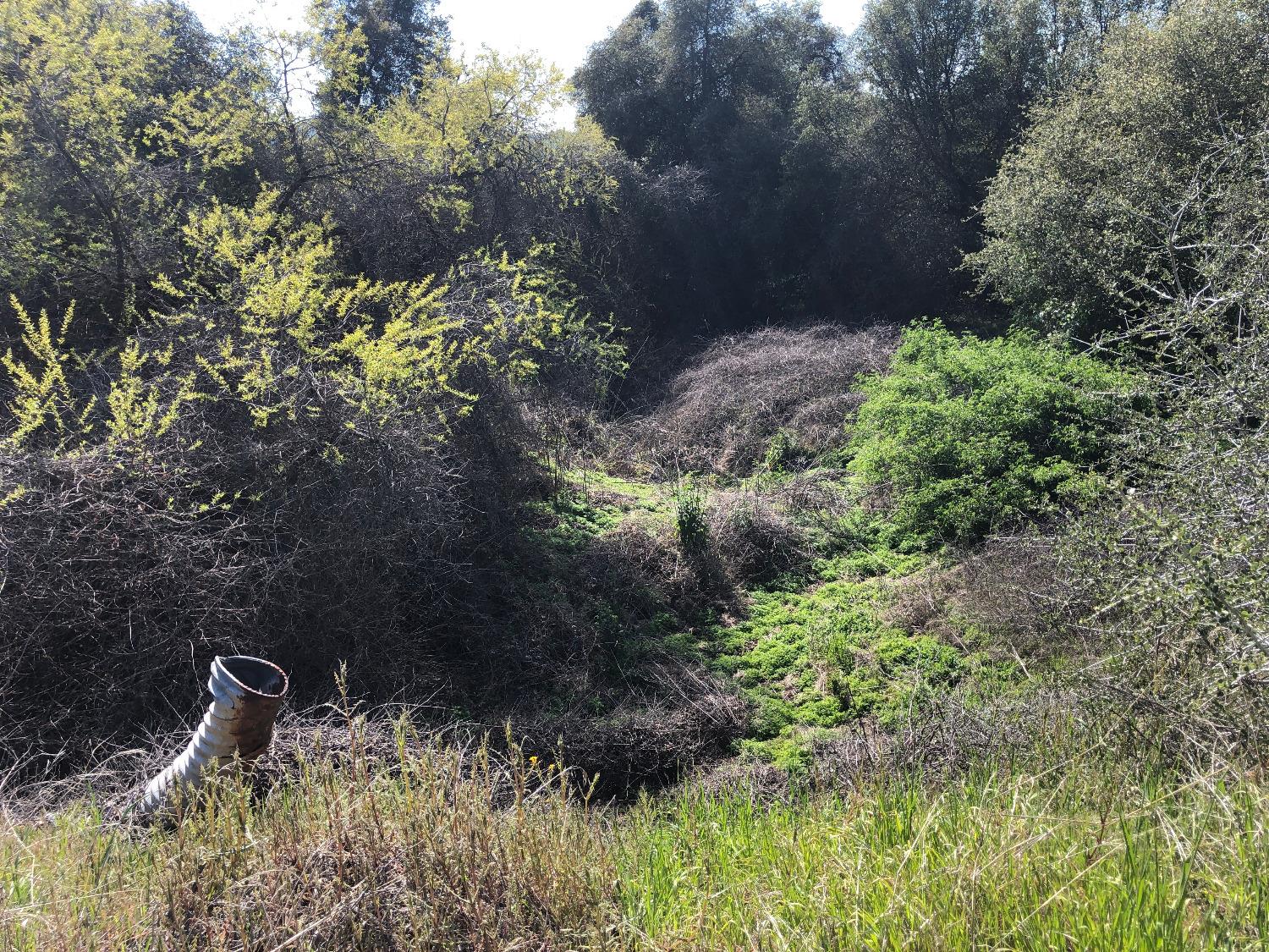 0 0 Partridge Lot# 44 Ln, Yokuts Valley, CA 93675