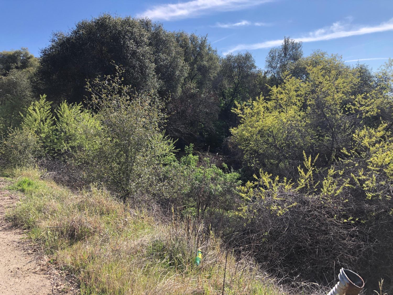 0 0 Partridge Lot# 44 Ln, Yokuts Valley, CA 93675