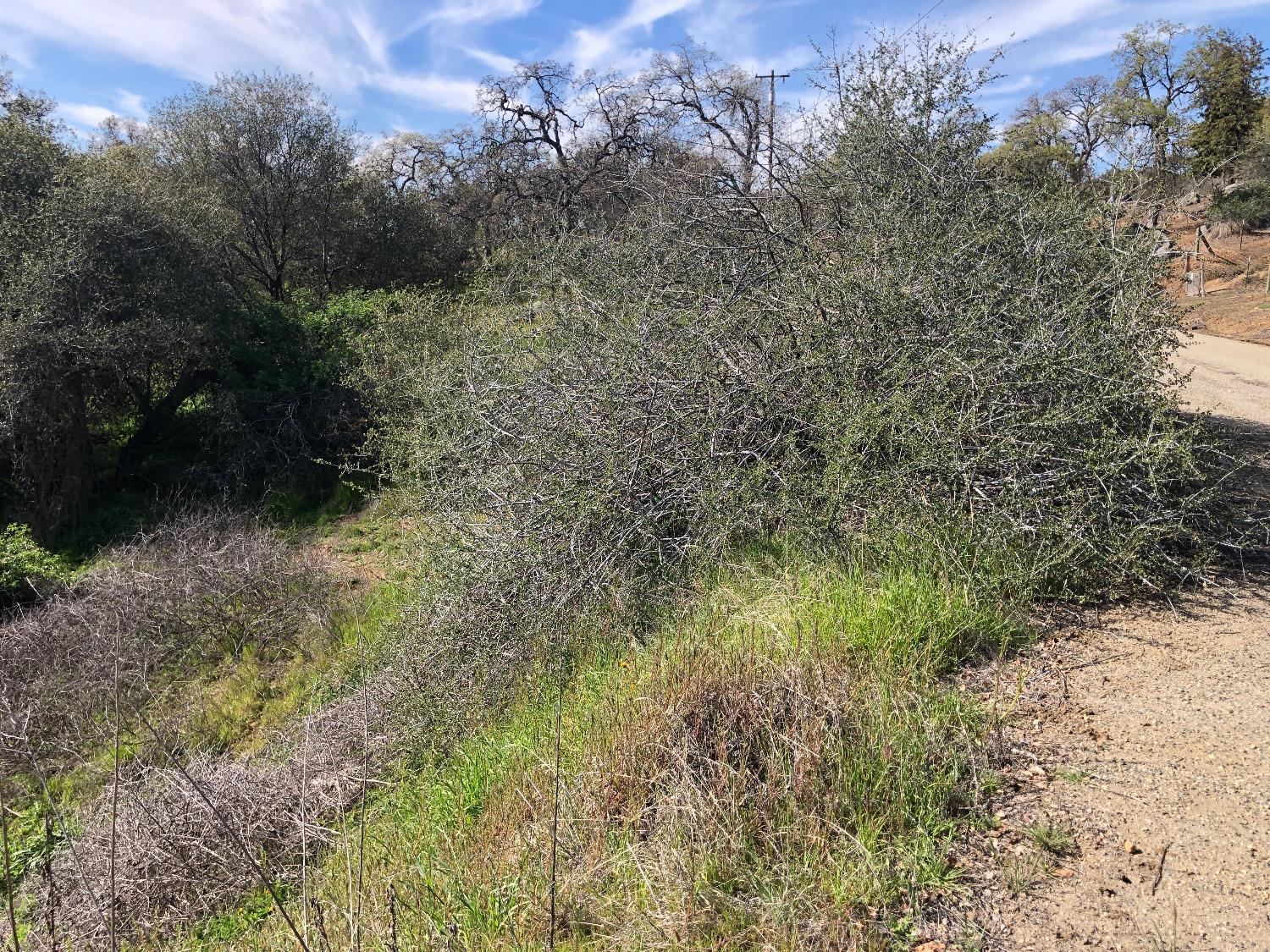 0 0 Partridge Lot# 44 Ln, Yokuts Valley, CA 93675