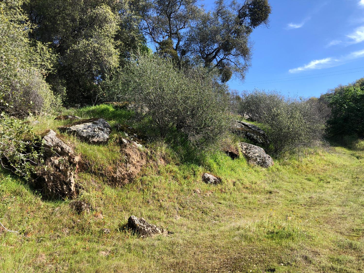 0 0 Partridge Lot# 44 Ln, Yokuts Valley, CA 93675