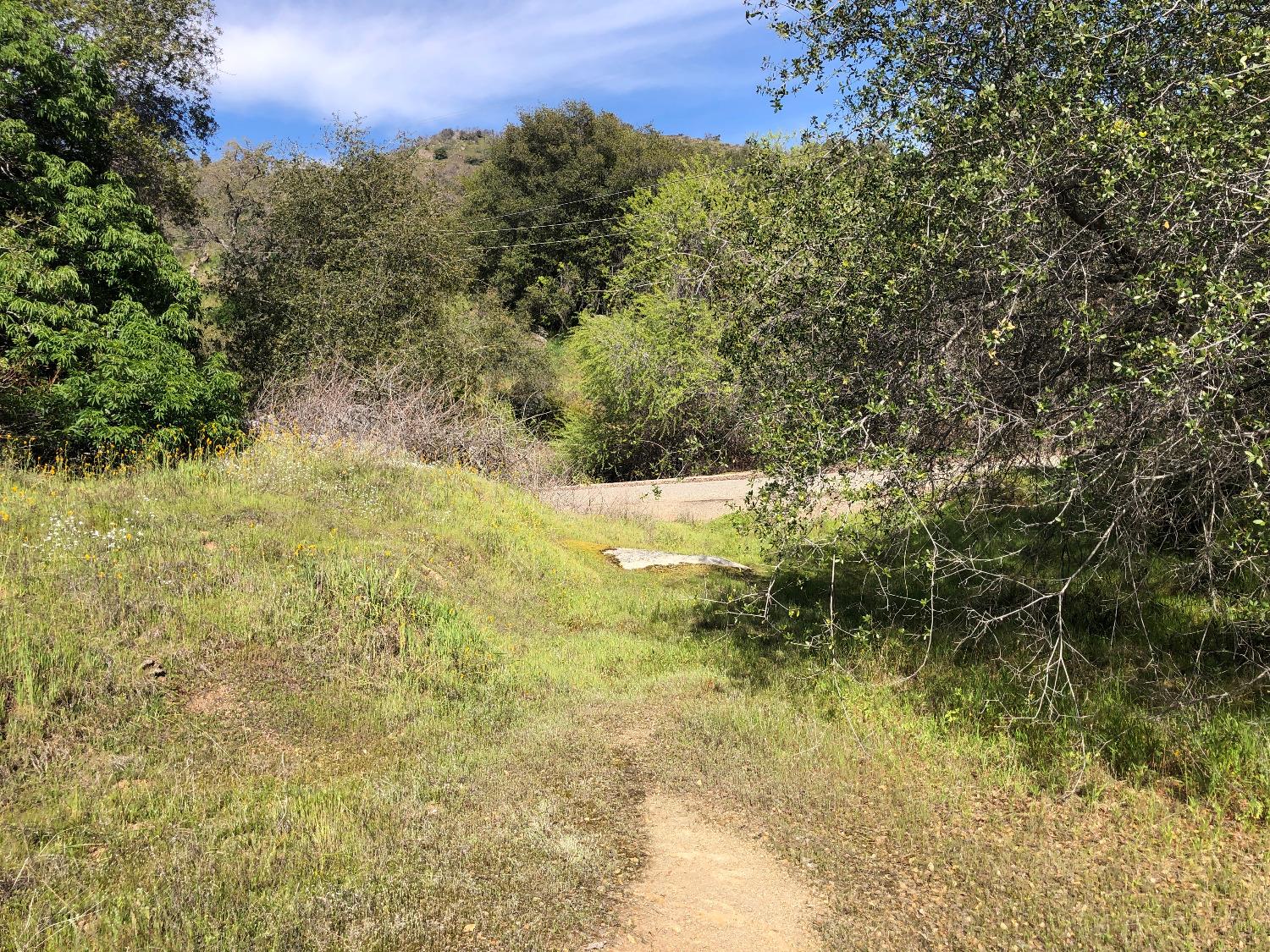 0 0 Partridge Lot# 44 Ln, Yokuts Valley, CA 93675