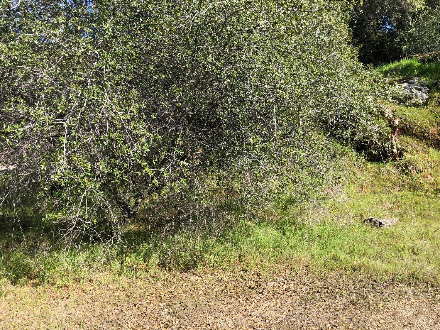 0 0 Partridge Lot# 44 Ln, Yokuts Valley, CA 93675