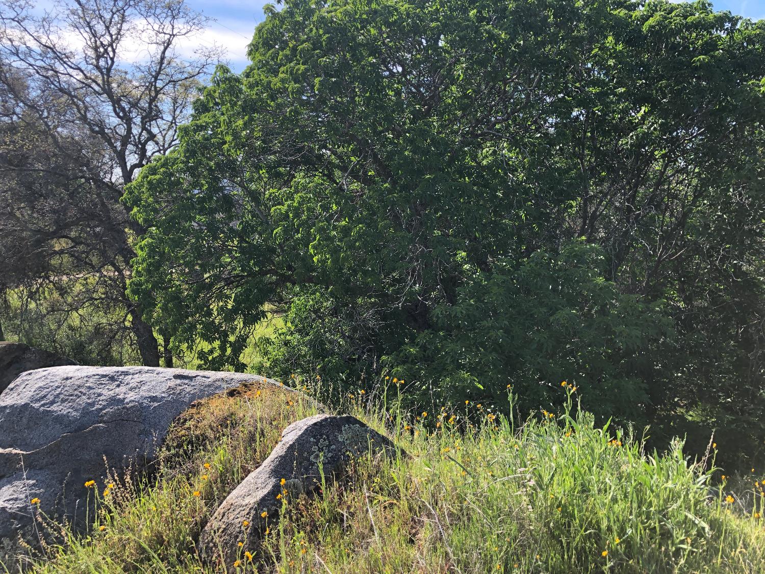 0 0 Partridge Lot# 44 Ln, Yokuts Valley, CA 93675