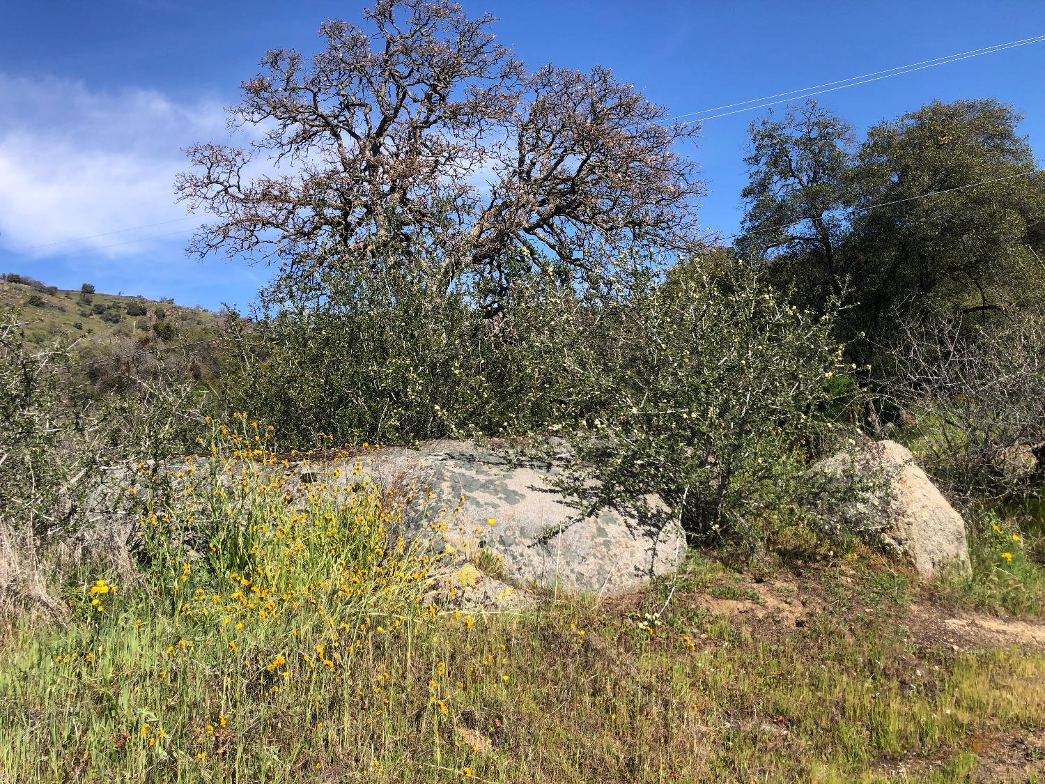 0 0 Partridge Lot# 44 Ln, Yokuts Valley, CA 93675