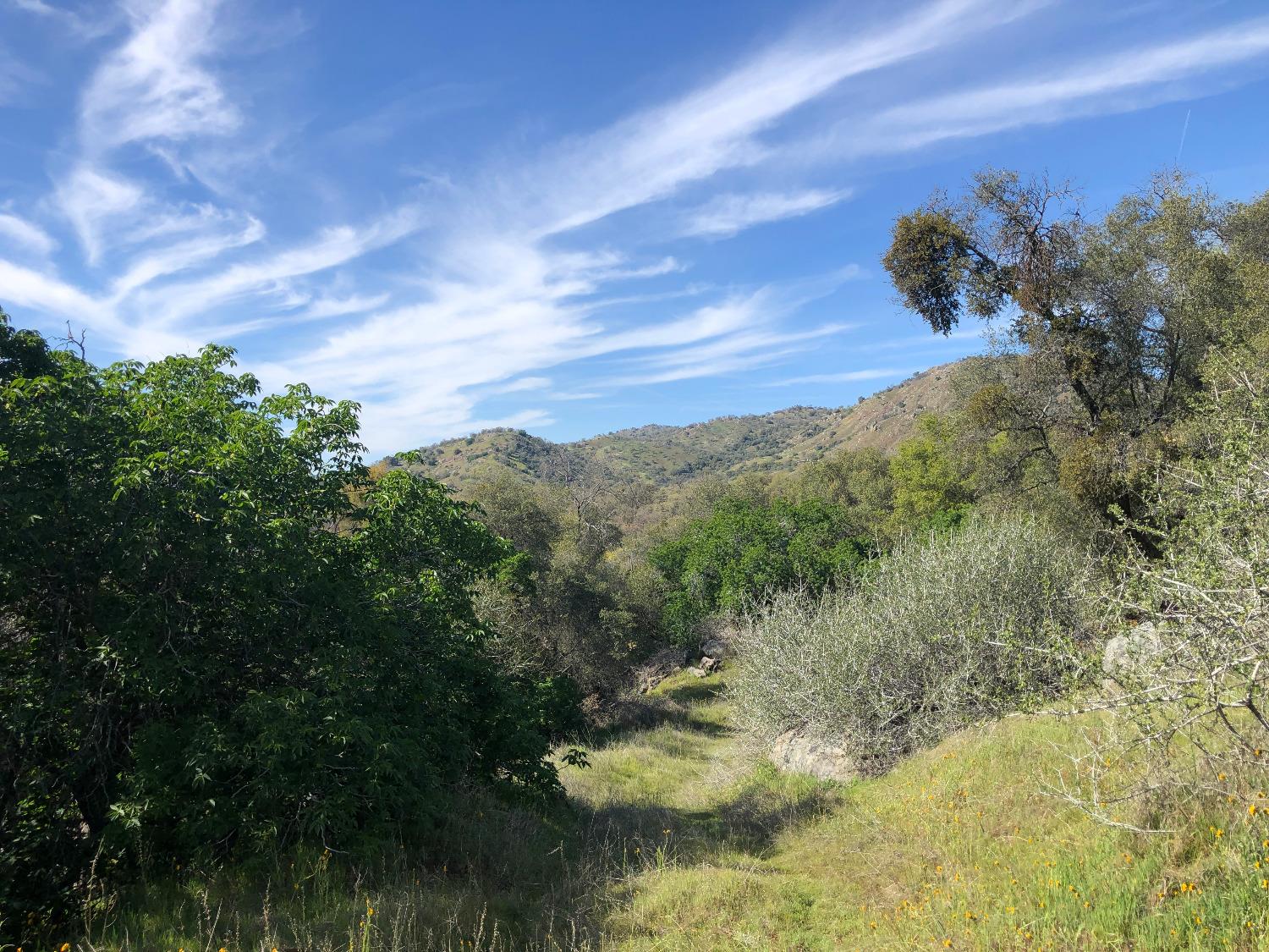 0 0 Partridge Lot# 44 Ln, Yokuts Valley, CA 93675