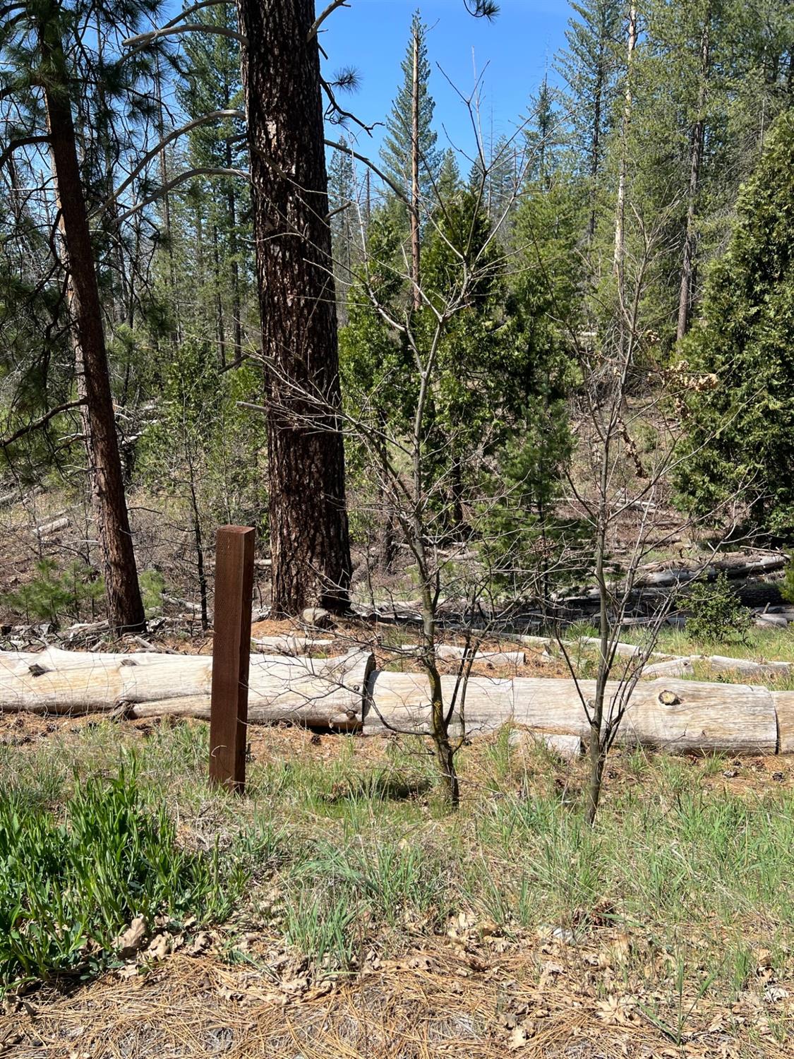 6483 6493 Greeley Hill Rd, Coulterville, CA 95311