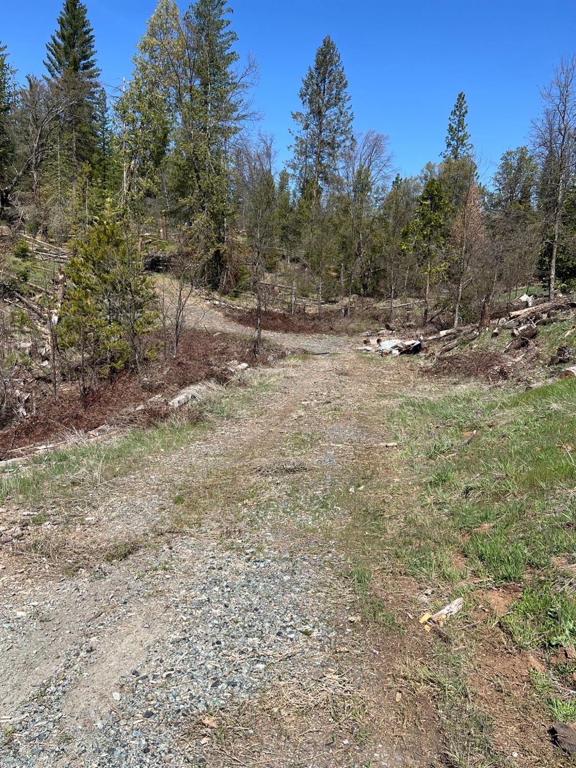 6483 6493 Greeley Hill Rd, Coulterville, CA 95311