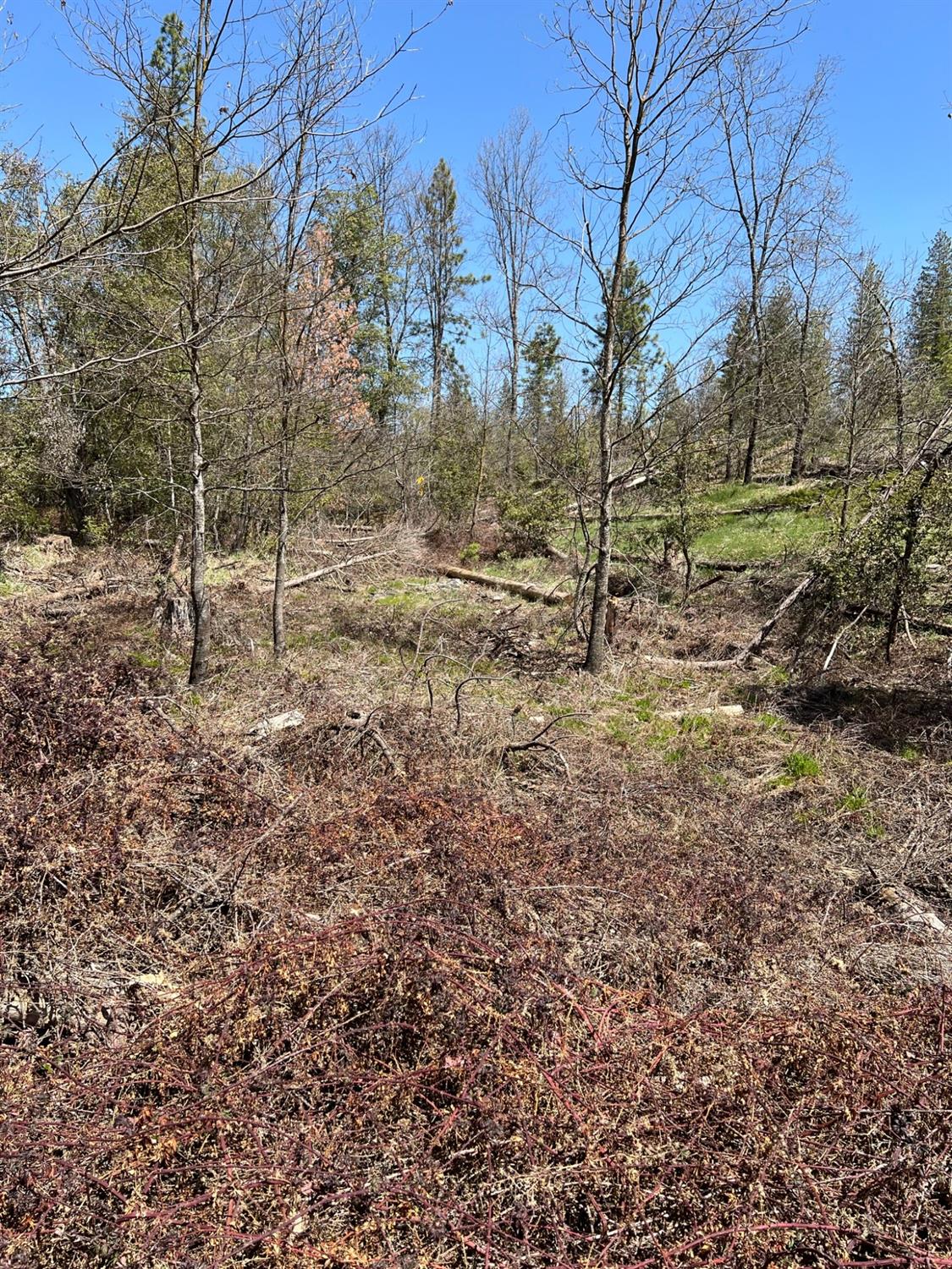 6483 6493 Greeley Hill Rd, Coulterville, CA 95311