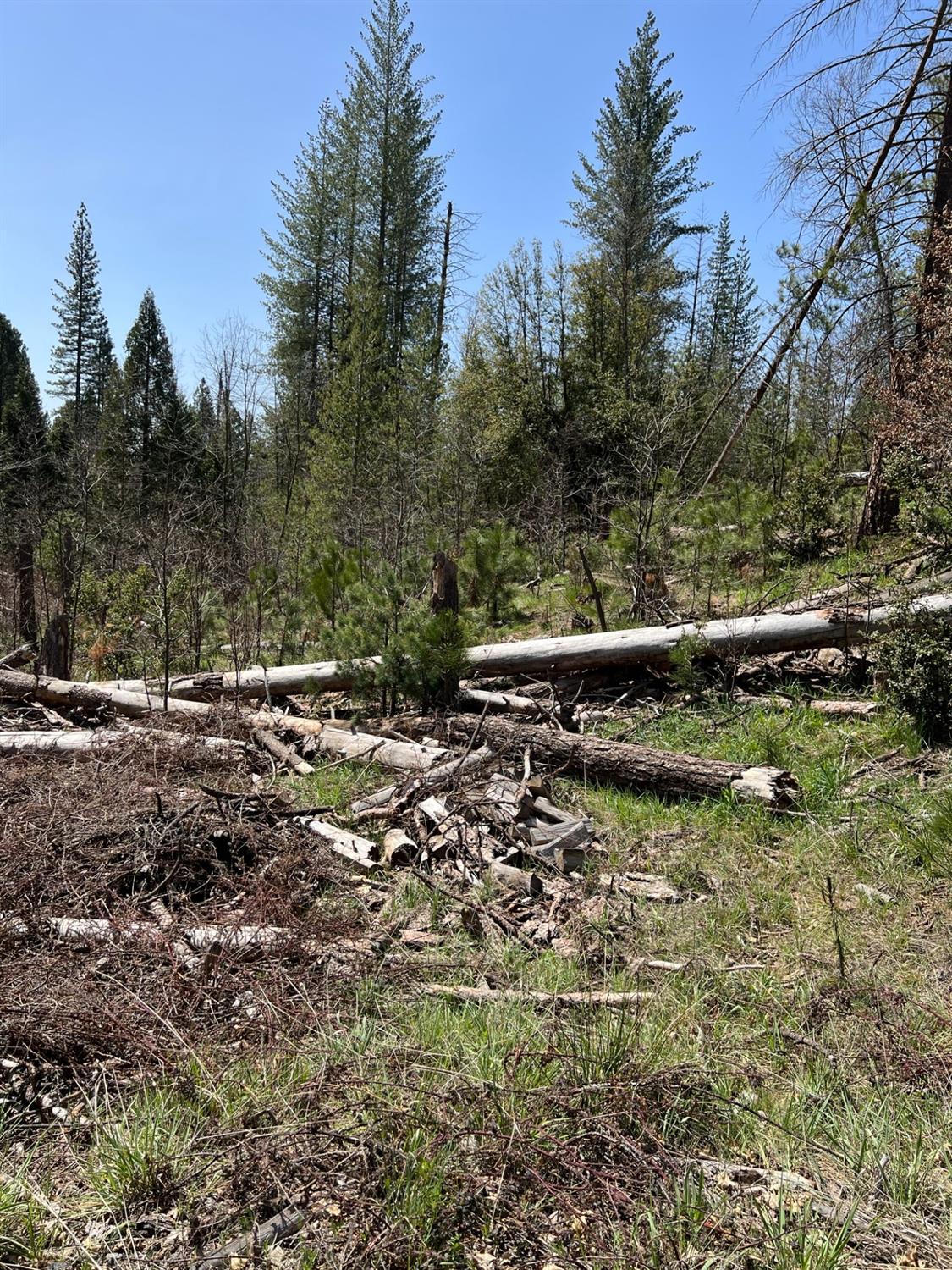 6483 6493 Greeley Hill Rd, Coulterville, CA 95311