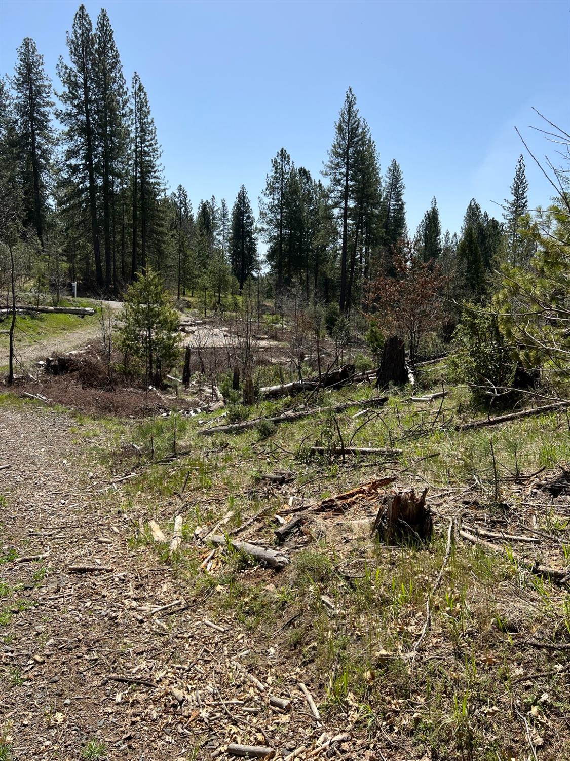 6483 6493 Greeley Hill Rd, Coulterville, CA 95311