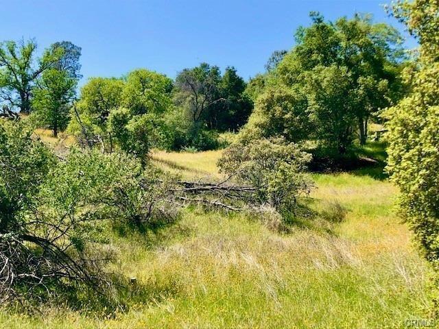 0 0 N Dome Dr, Coarsegold, CA 93614