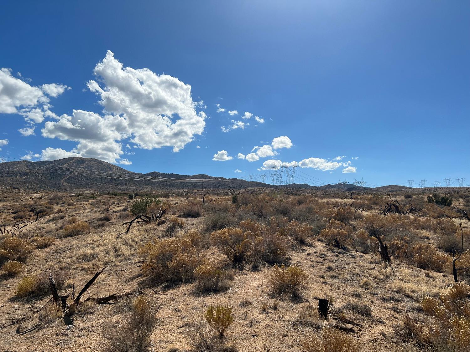 3048 Vic 47Th Ste Mt, Palmdale, CA 93550