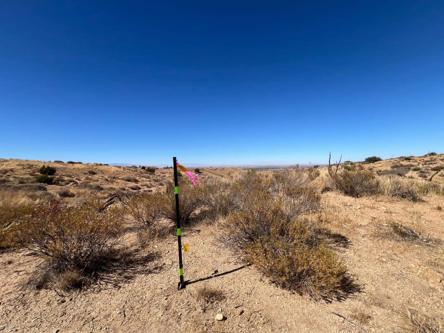3048 Vic 47Th Ste Mt, Palmdale, CA 93550