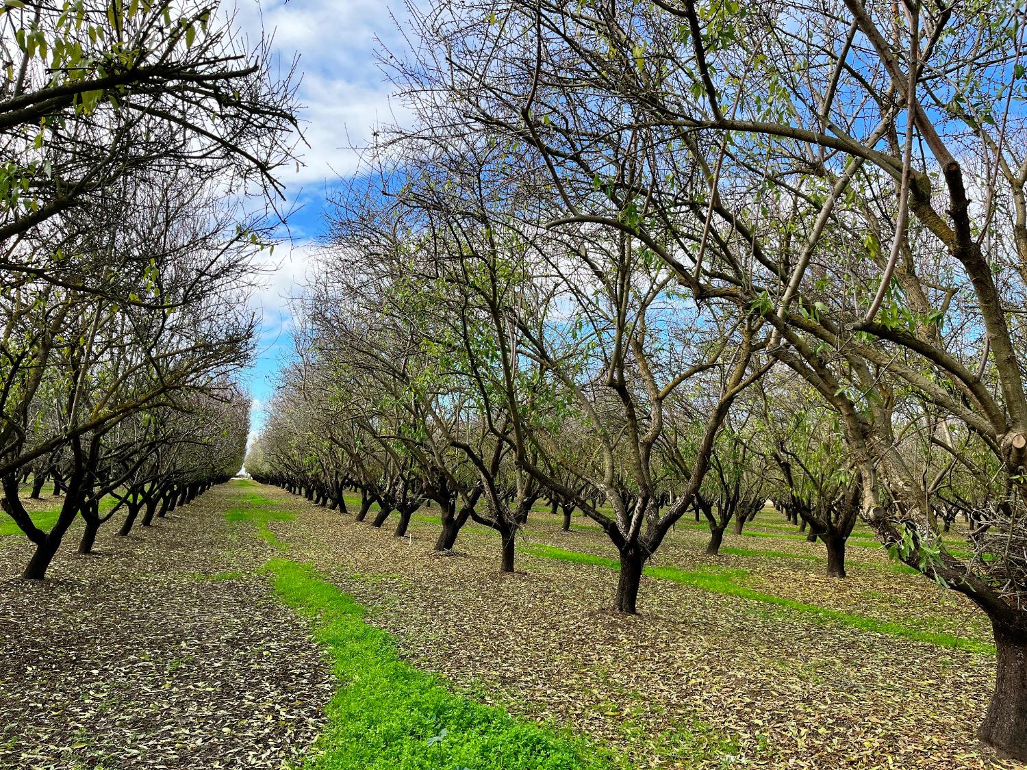 0 000 Eucalyptus, Winton, CA 95388