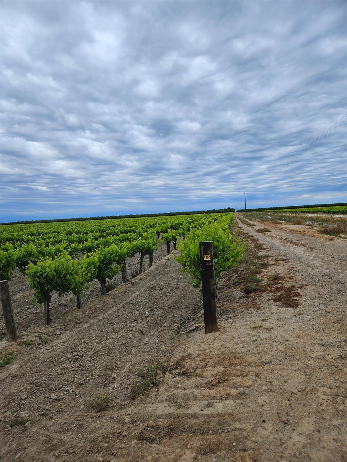 7517 Highway 145, Madera, CA 93637