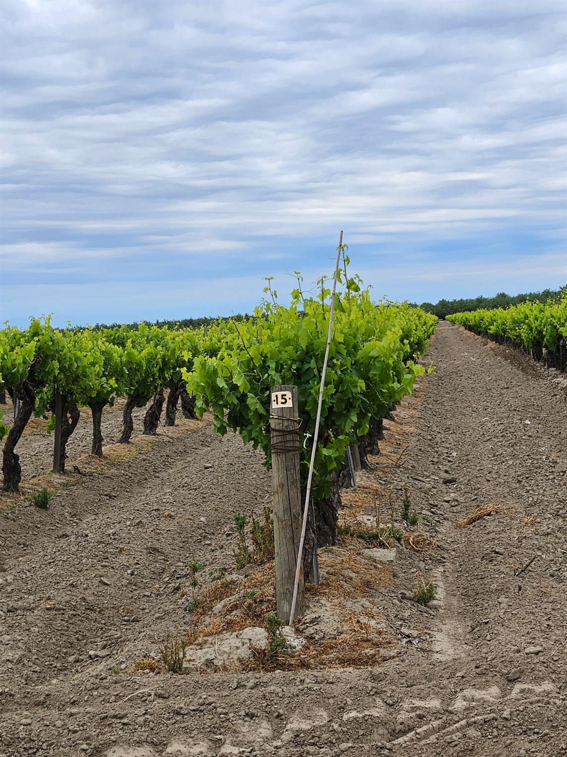 7517 Highway 145, Madera, CA 93637