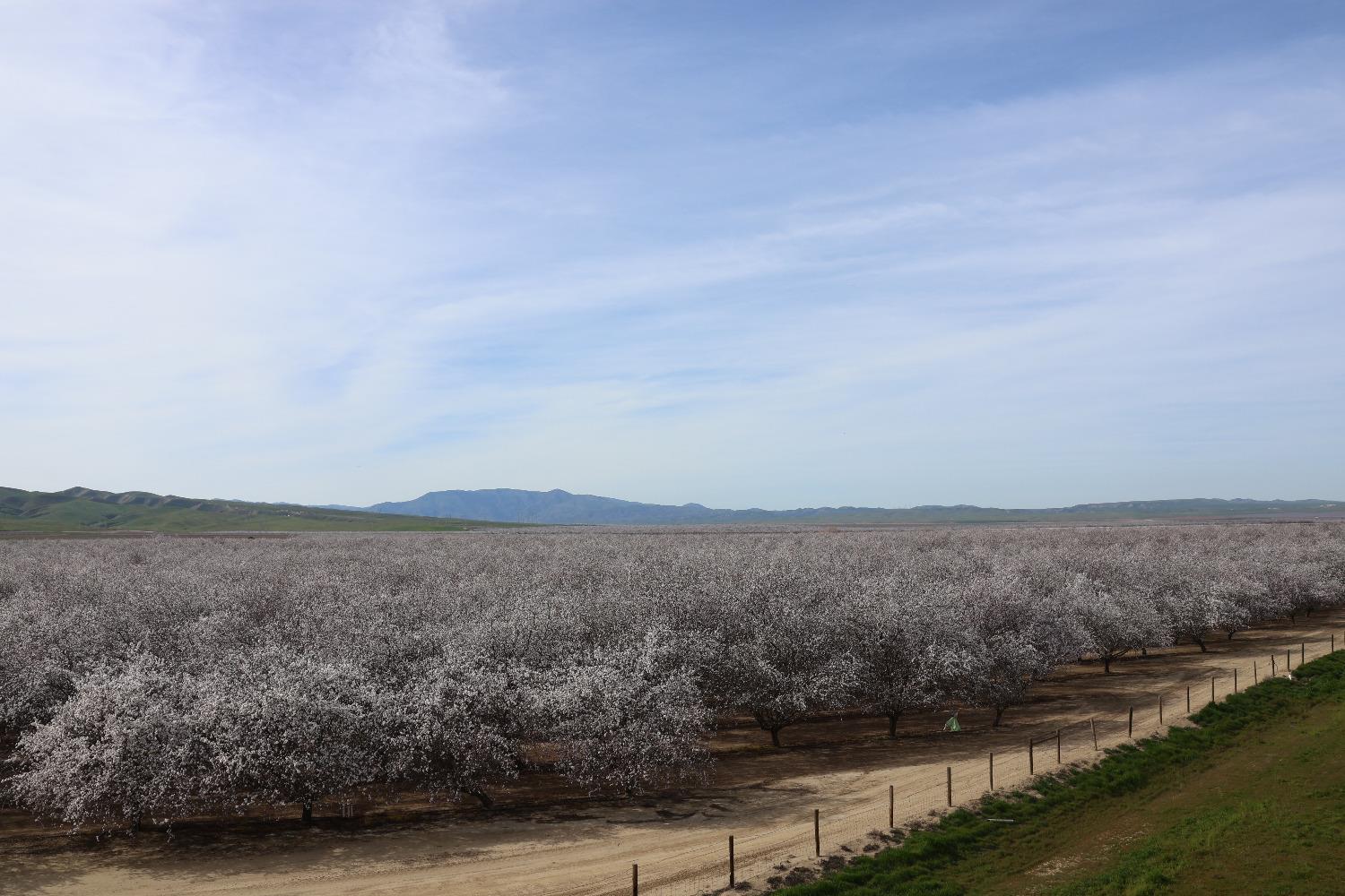 1 W Shields Ave, Firebaugh, CA 93622