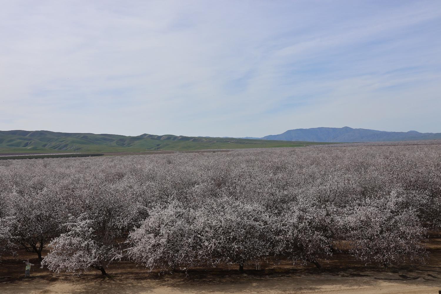 1 W Shields Ave, Firebaugh, CA 93622