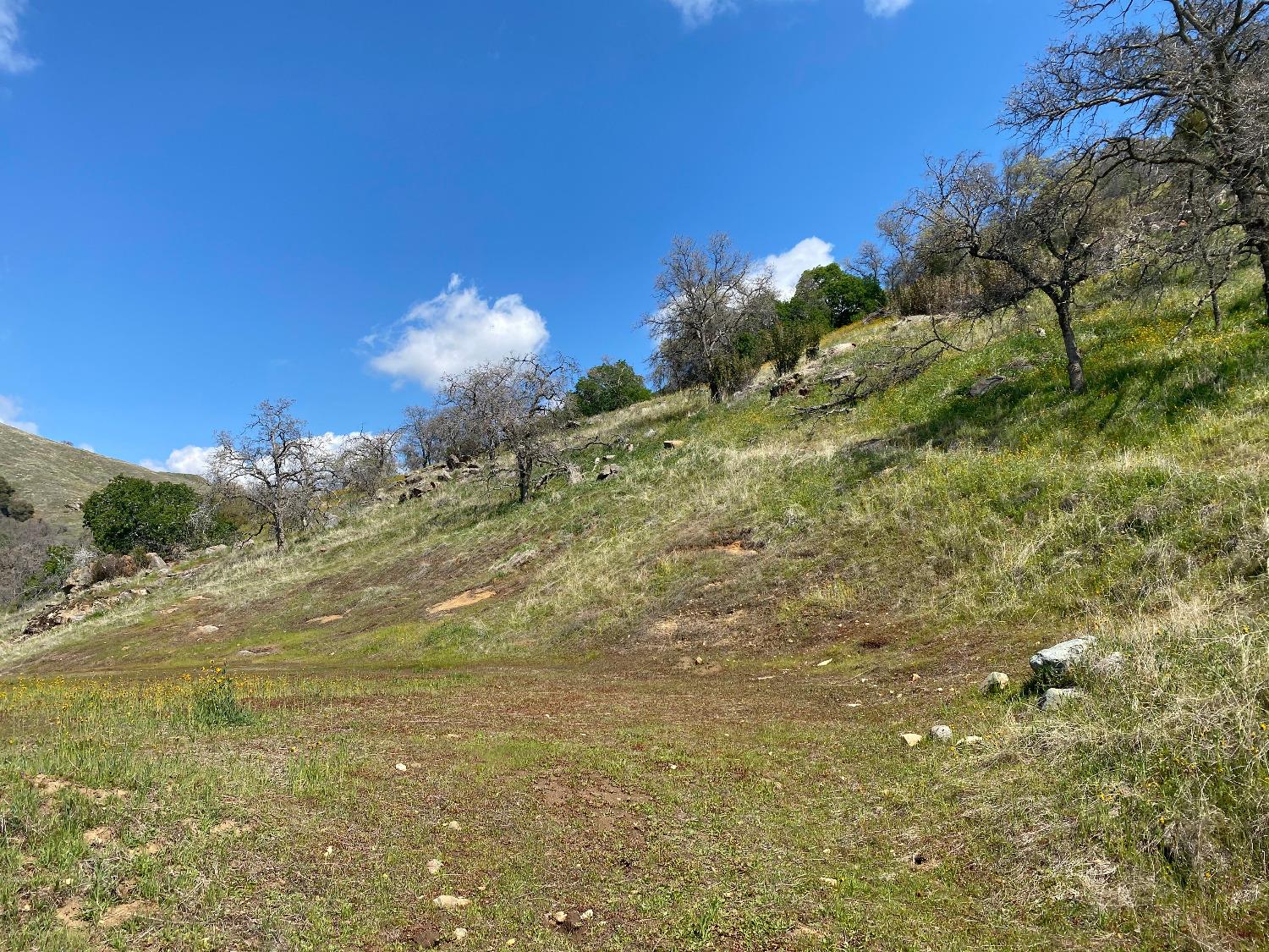 0 0 George Smith Rd, Yokuts Valley, CA 93675