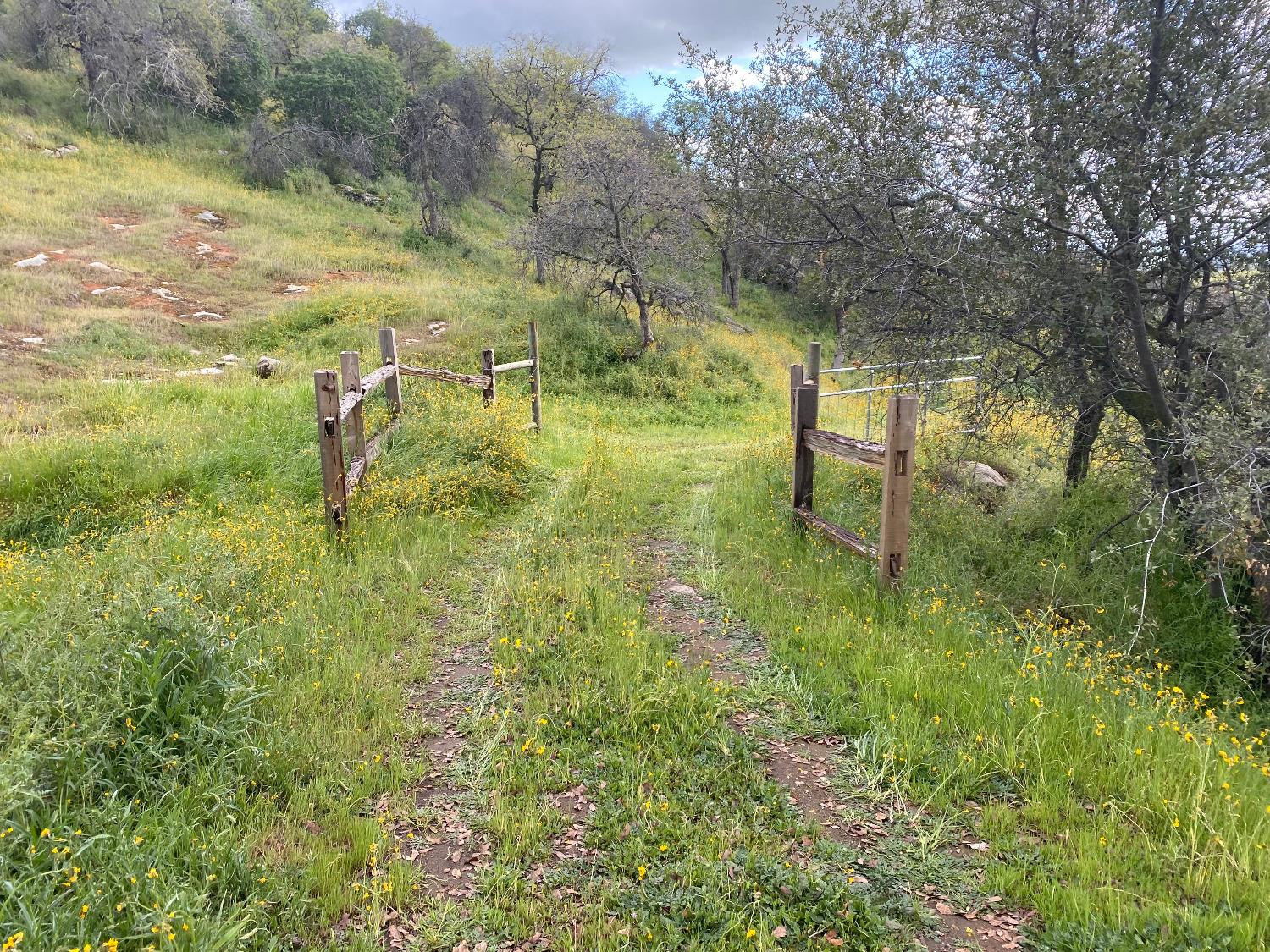 0 0 George Smith Rd, Yokuts Valley, CA 93675