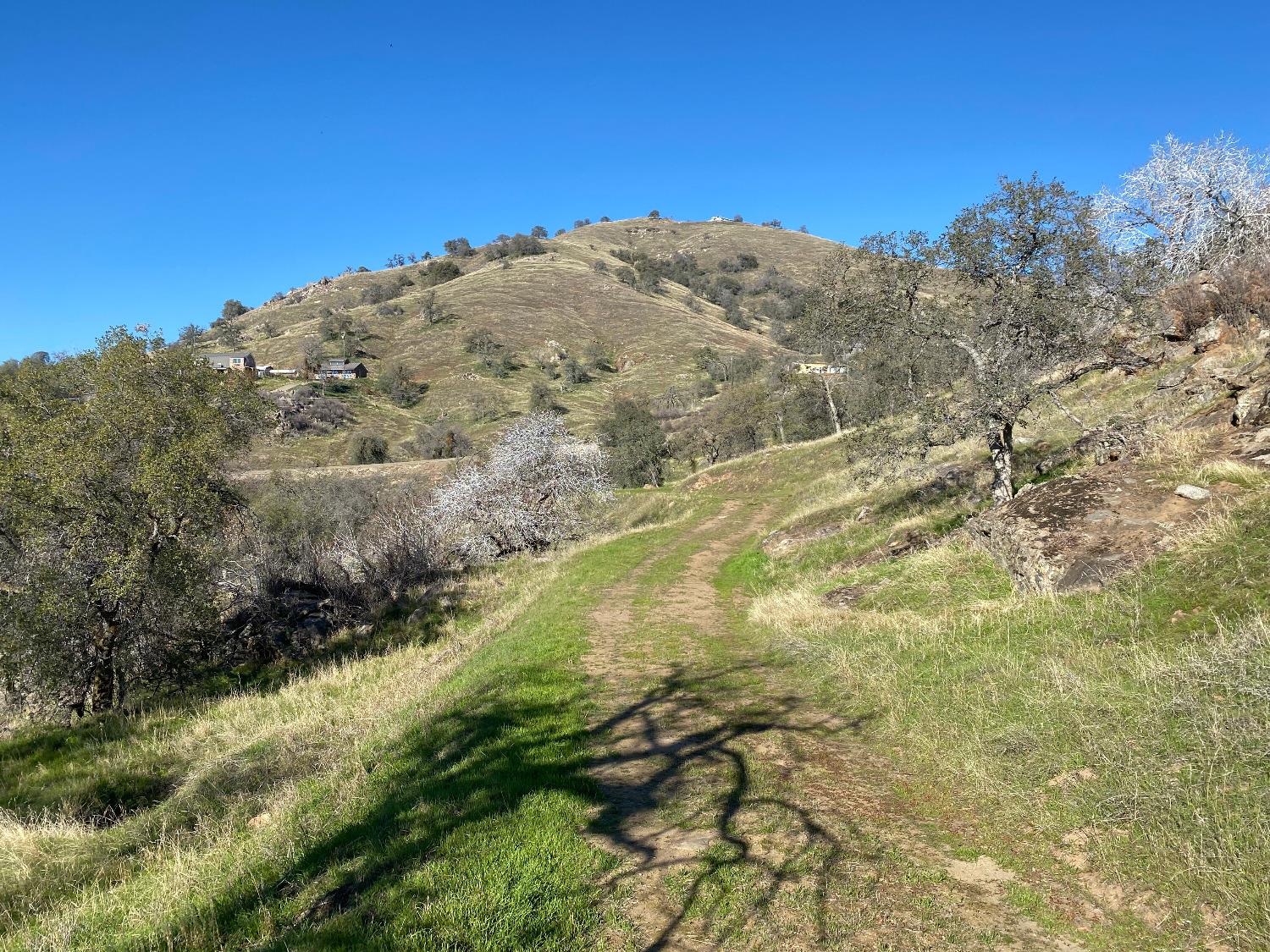 0 0 George Smith Rd, Yokuts Valley, CA 93675