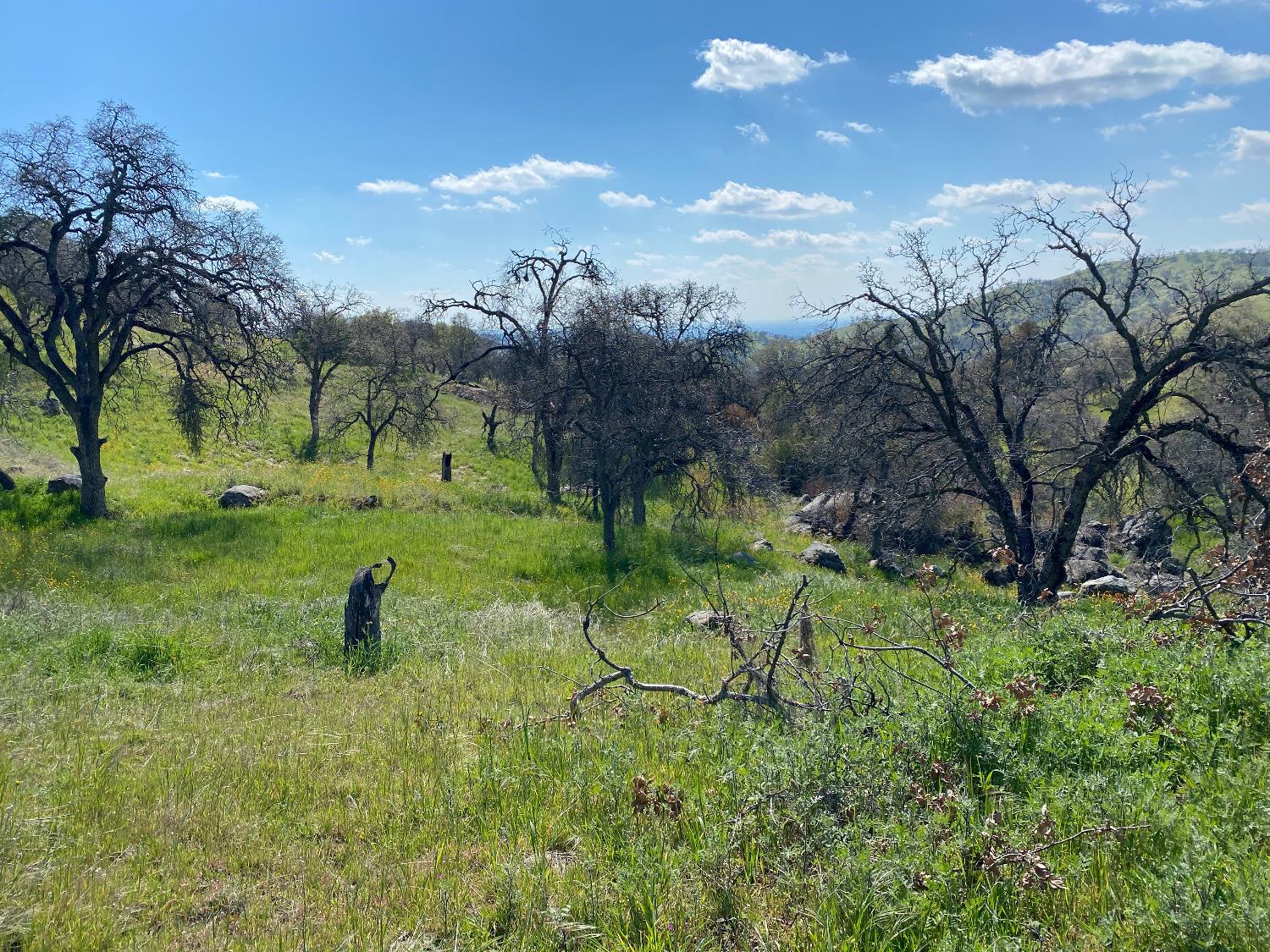 0 0 George Smith Rd, Yokuts Valley, CA 93675