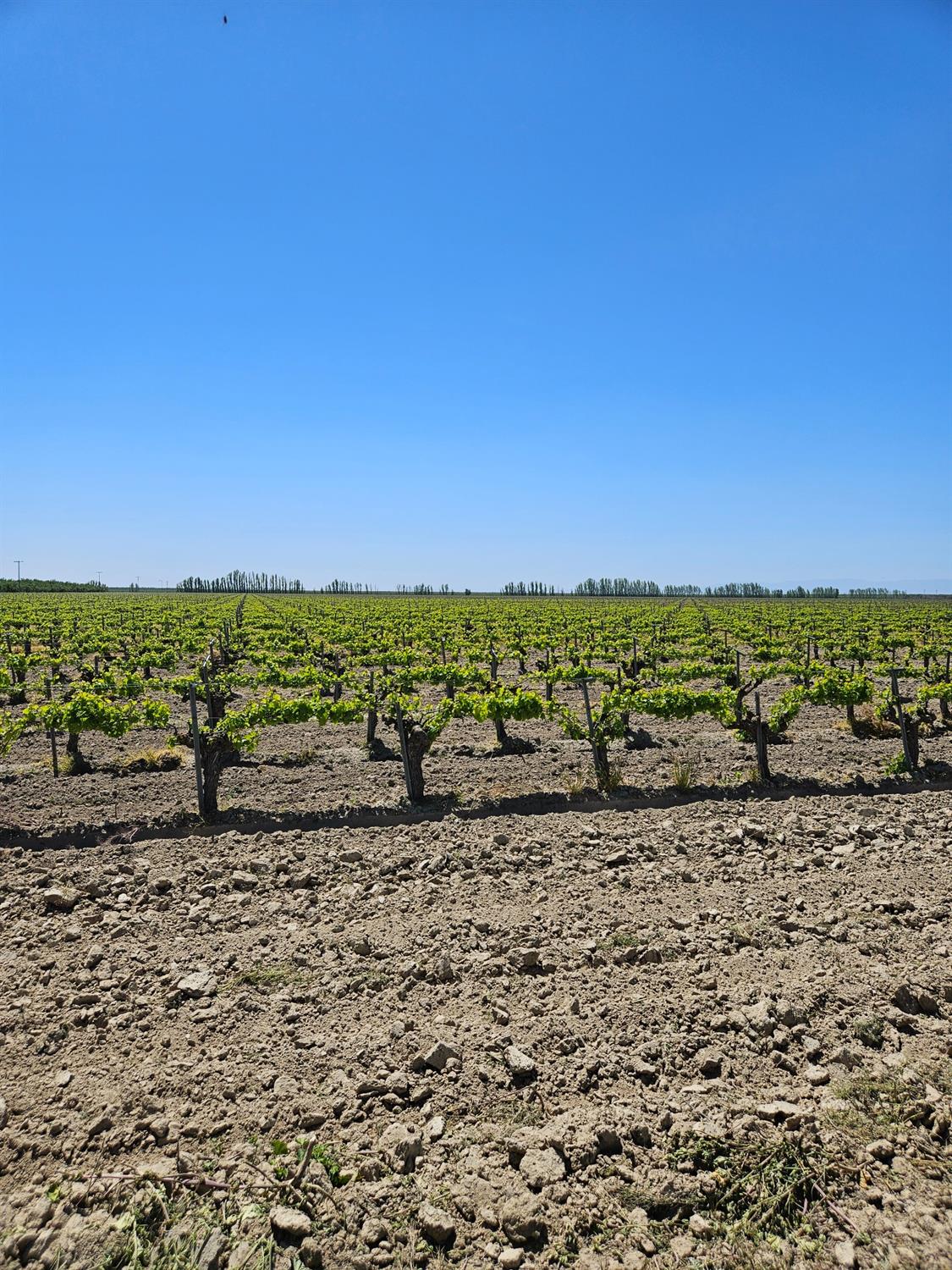 0 0 North, Kerman, CA 93630