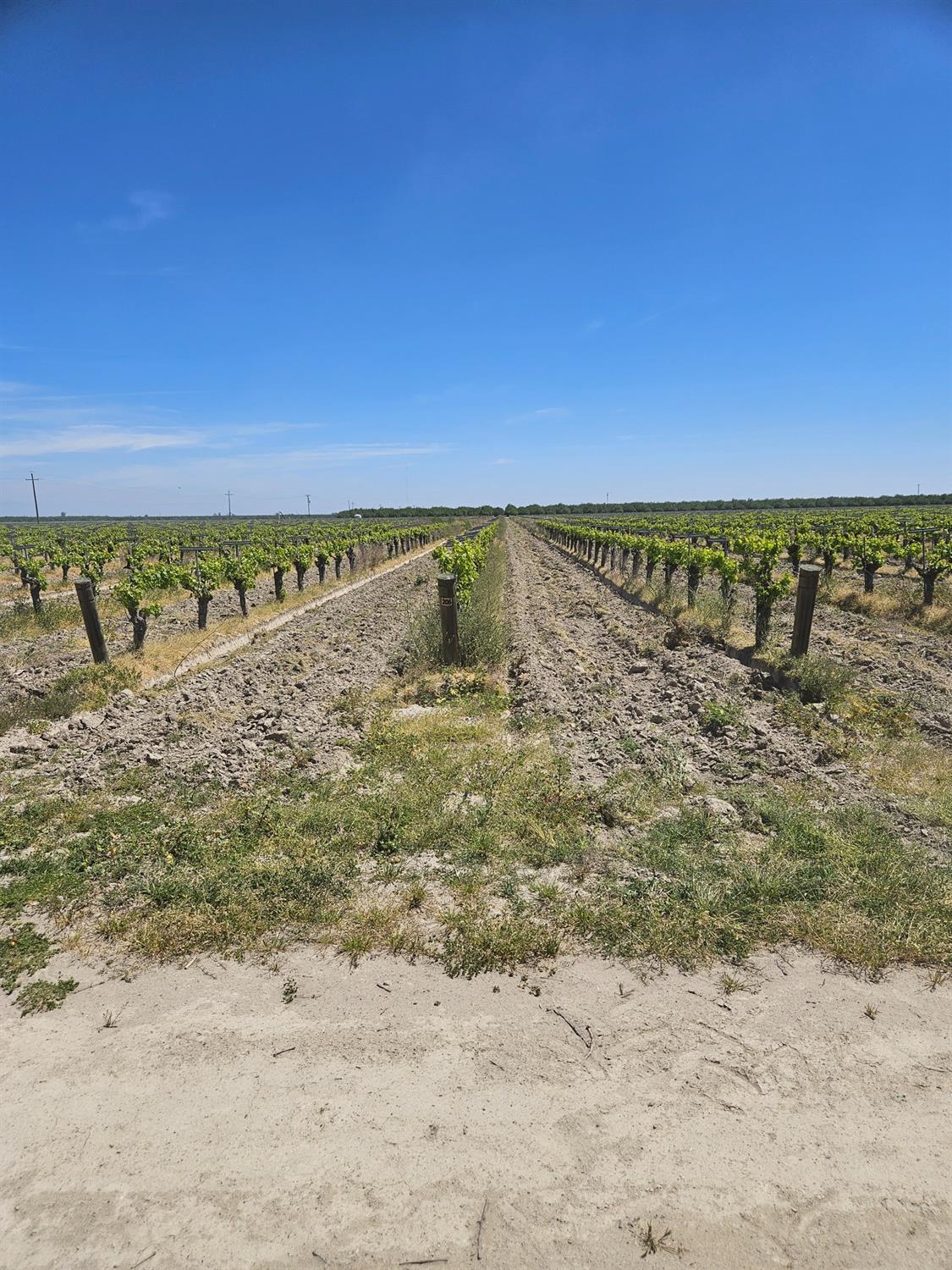 0 0 North, Kerman, CA 93630