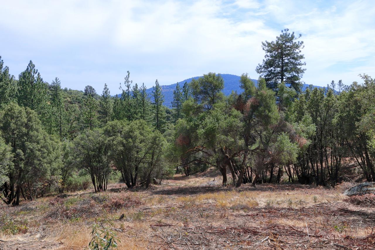 2232 Sunset Dr, Mariposa, CA 95338