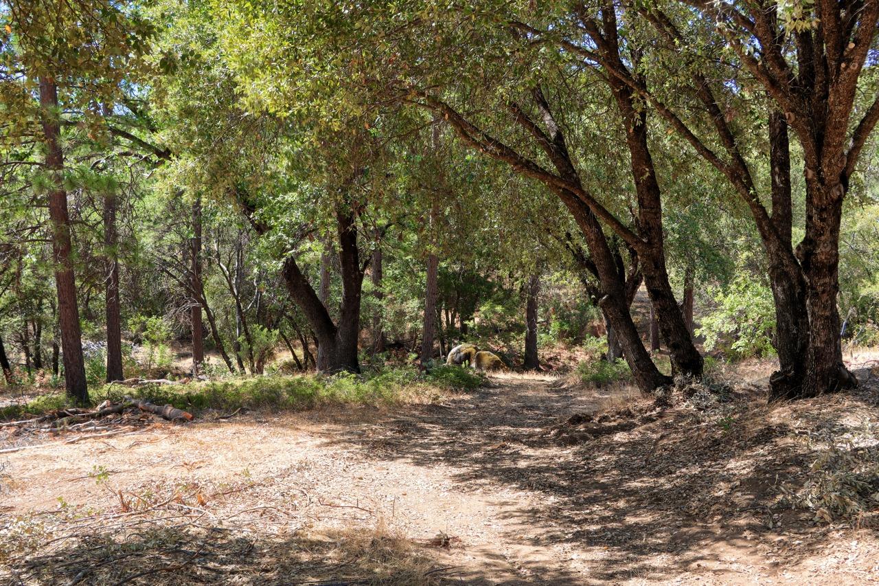 2232 Sunset Dr, Mariposa, CA 95338