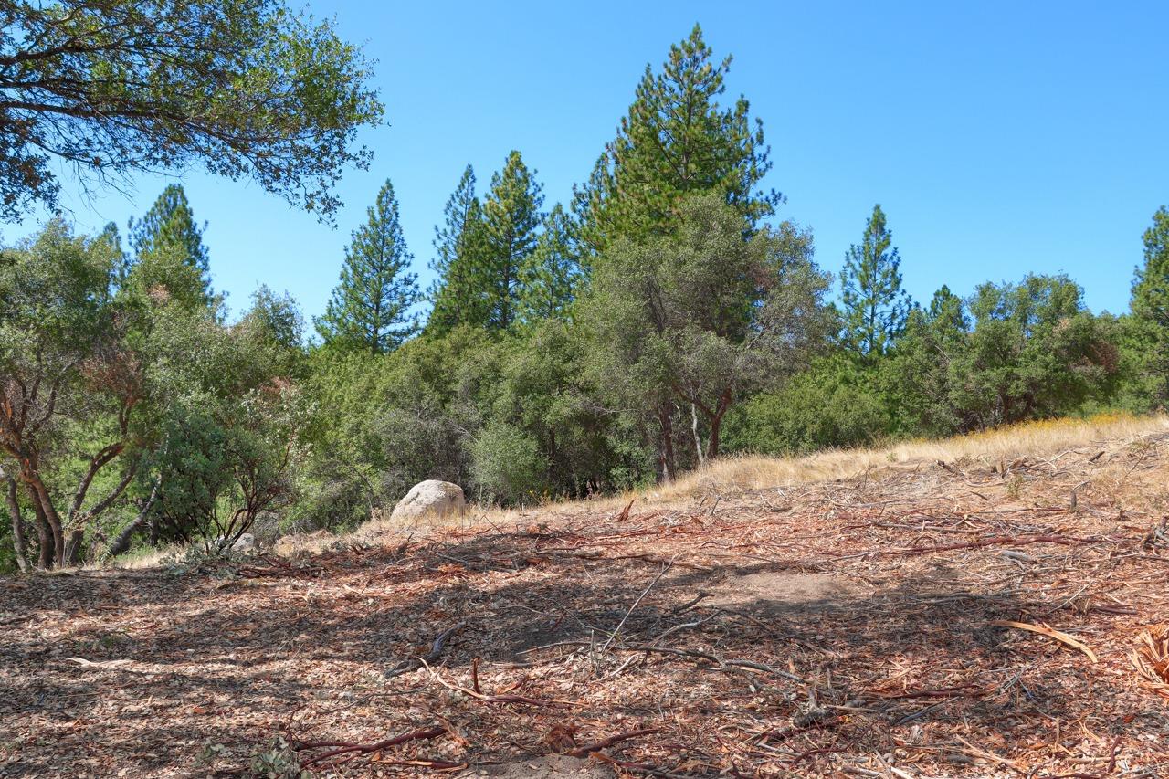2232 Sunset Dr, Mariposa, CA 95338
