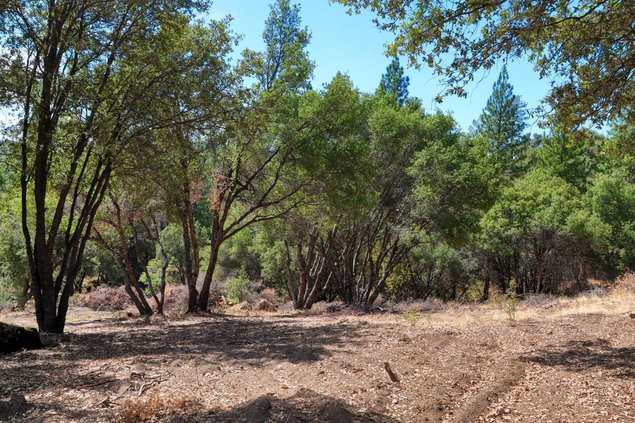 2232 Sunset Dr, Mariposa, CA 95338