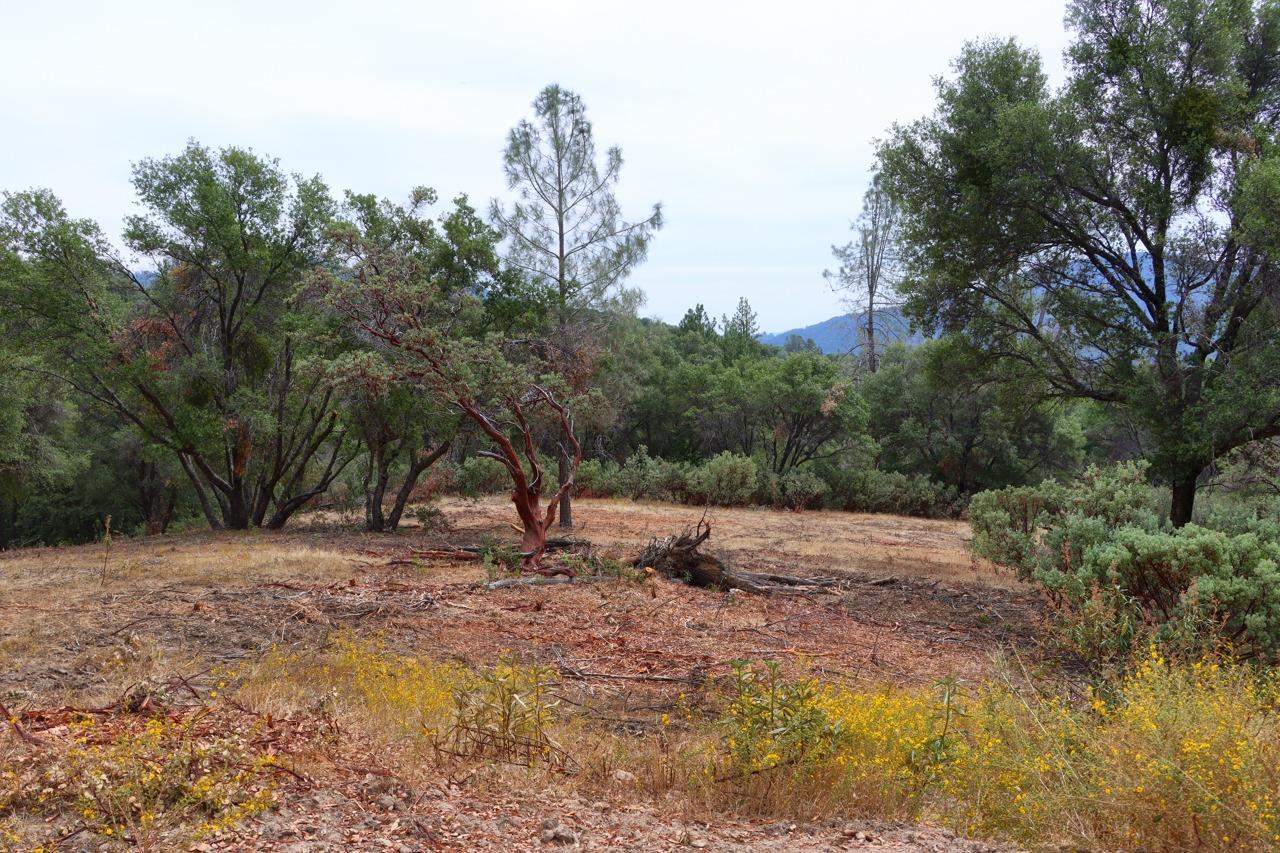 2232 Sunset Dr, Mariposa, CA 95338