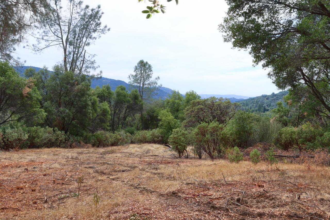 2232 Sunset Dr, Mariposa, CA 95338