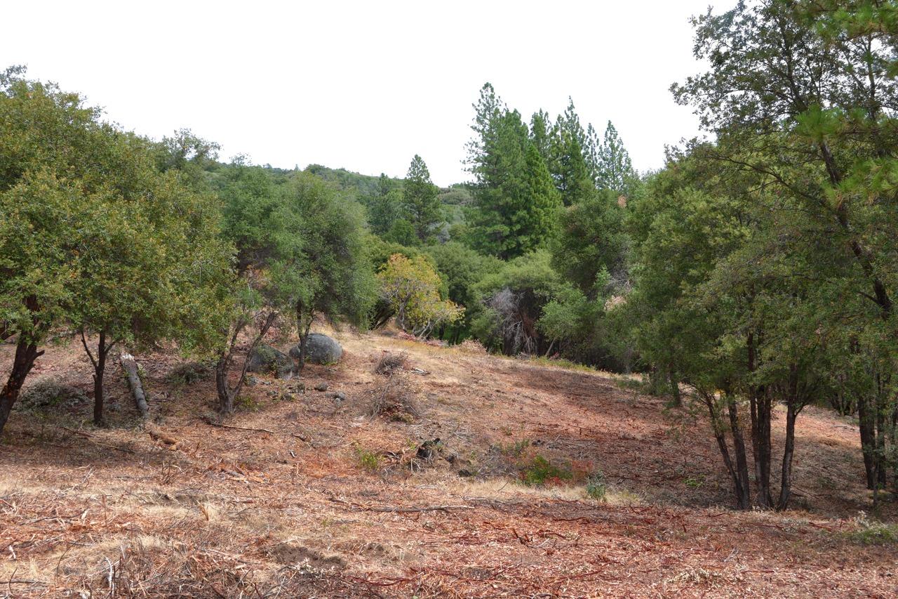 2232 Sunset Dr, Mariposa, CA 95338