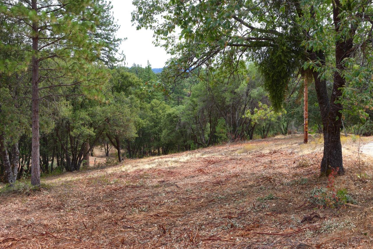 2232 Sunset Dr, Mariposa, CA 95338