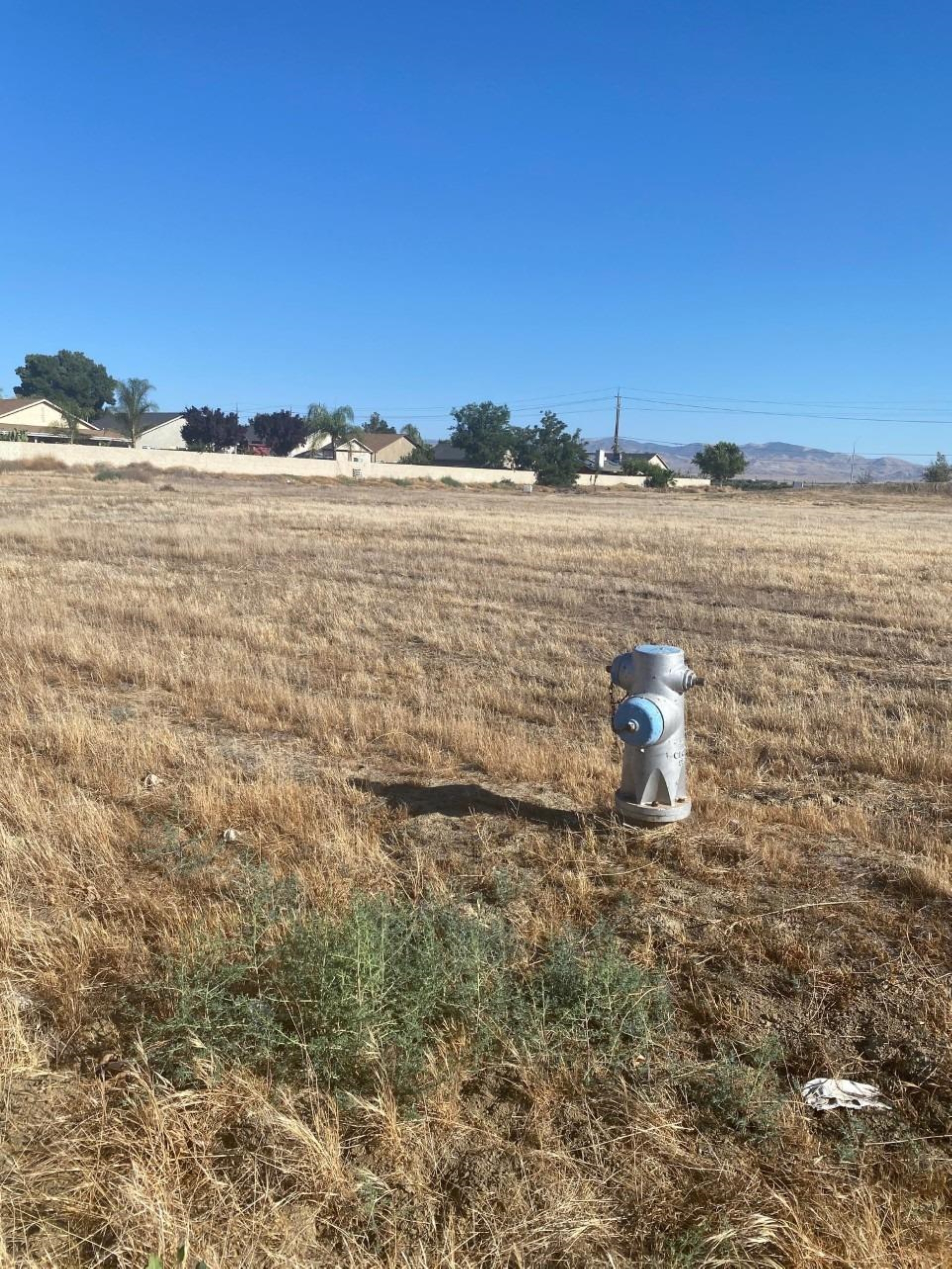 4 Willow Springs, Coalinga, CA 93210