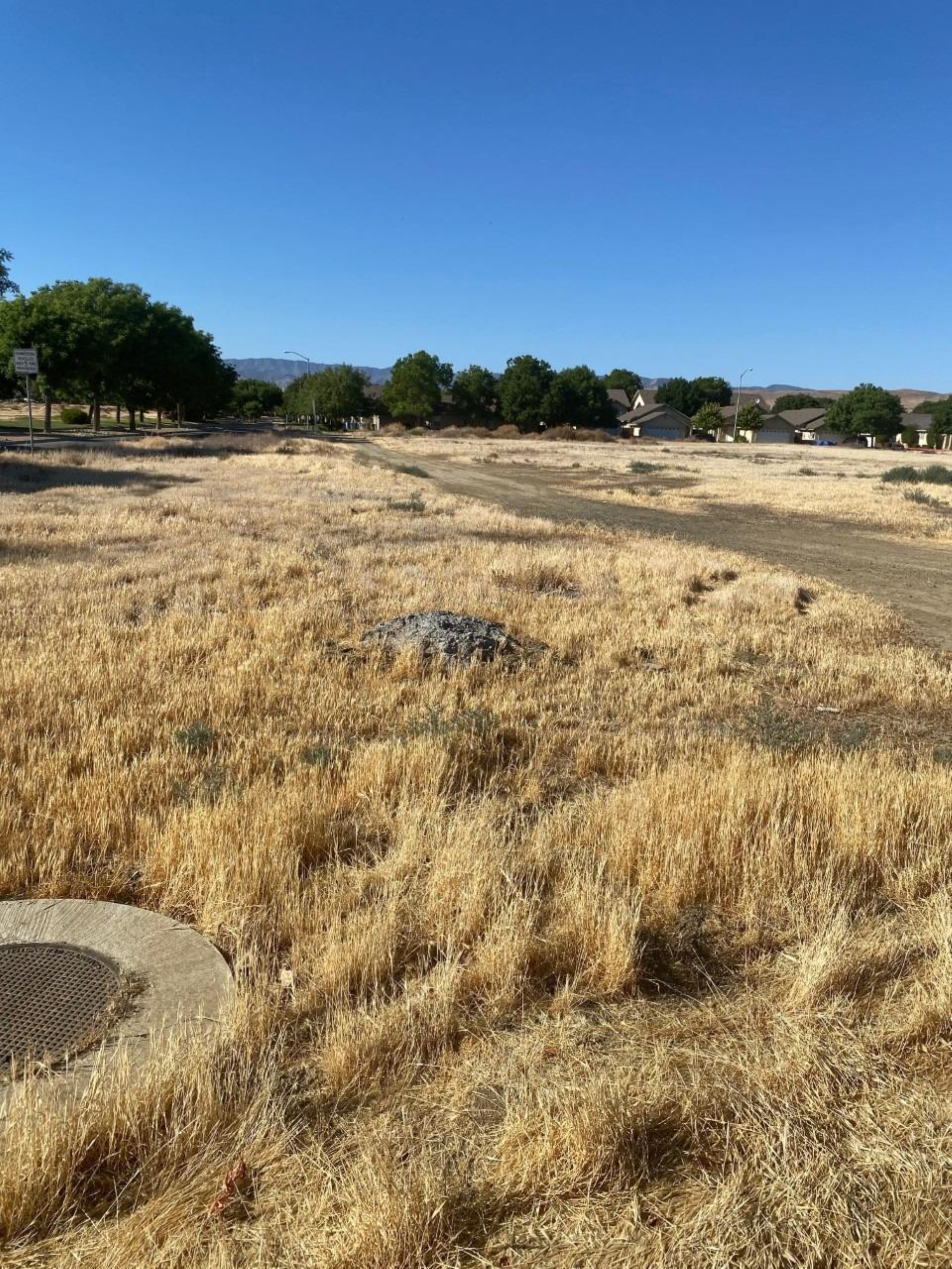 4 Willow Springs, Coalinga, CA 93210