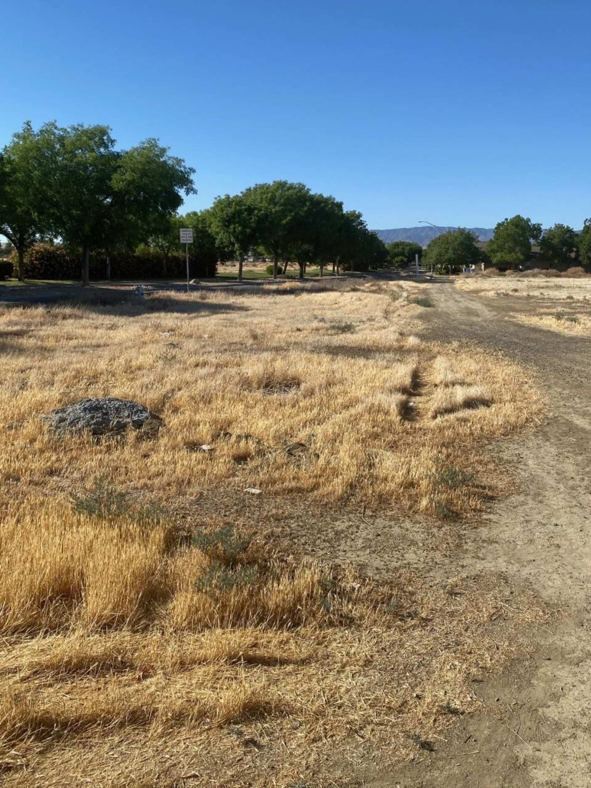 4 Willow Springs, Coalinga, CA 93210