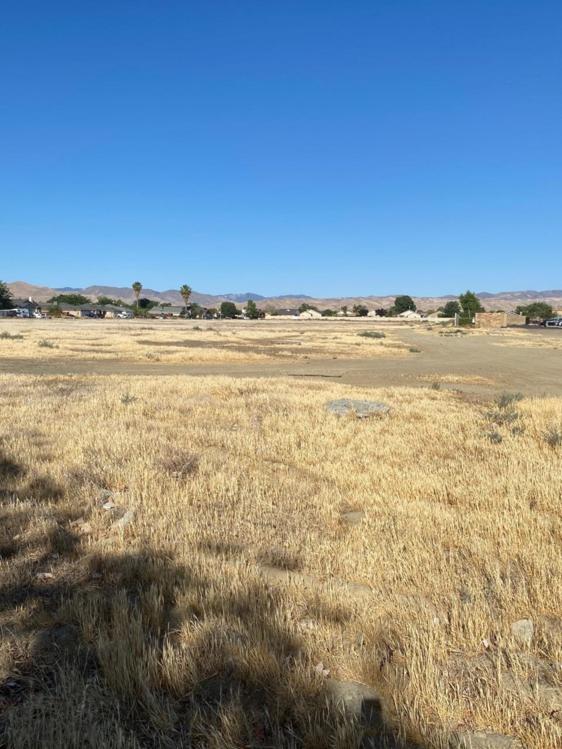 4 Willow Springs, Coalinga, CA 93210